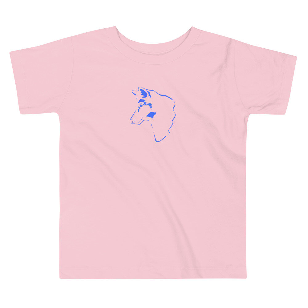 toddler-premium-tee-pink-5ff263d6e1b71.jpg