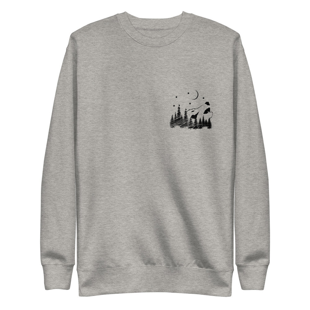 unisex-fleece-pullover-carbon-grey-front-616c6b8d31c03.jpg