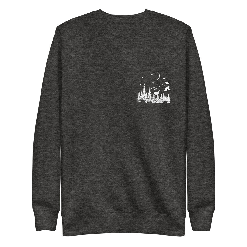 unisex-fleece-pullover-charcoal-heather-front-616c5ff819973.jpg