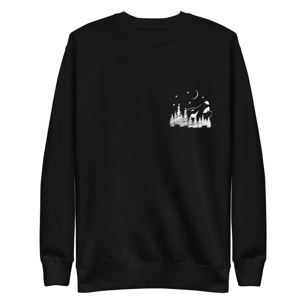 unisex-fleece-pullover-black-front-616c5ff8196b9.jpg