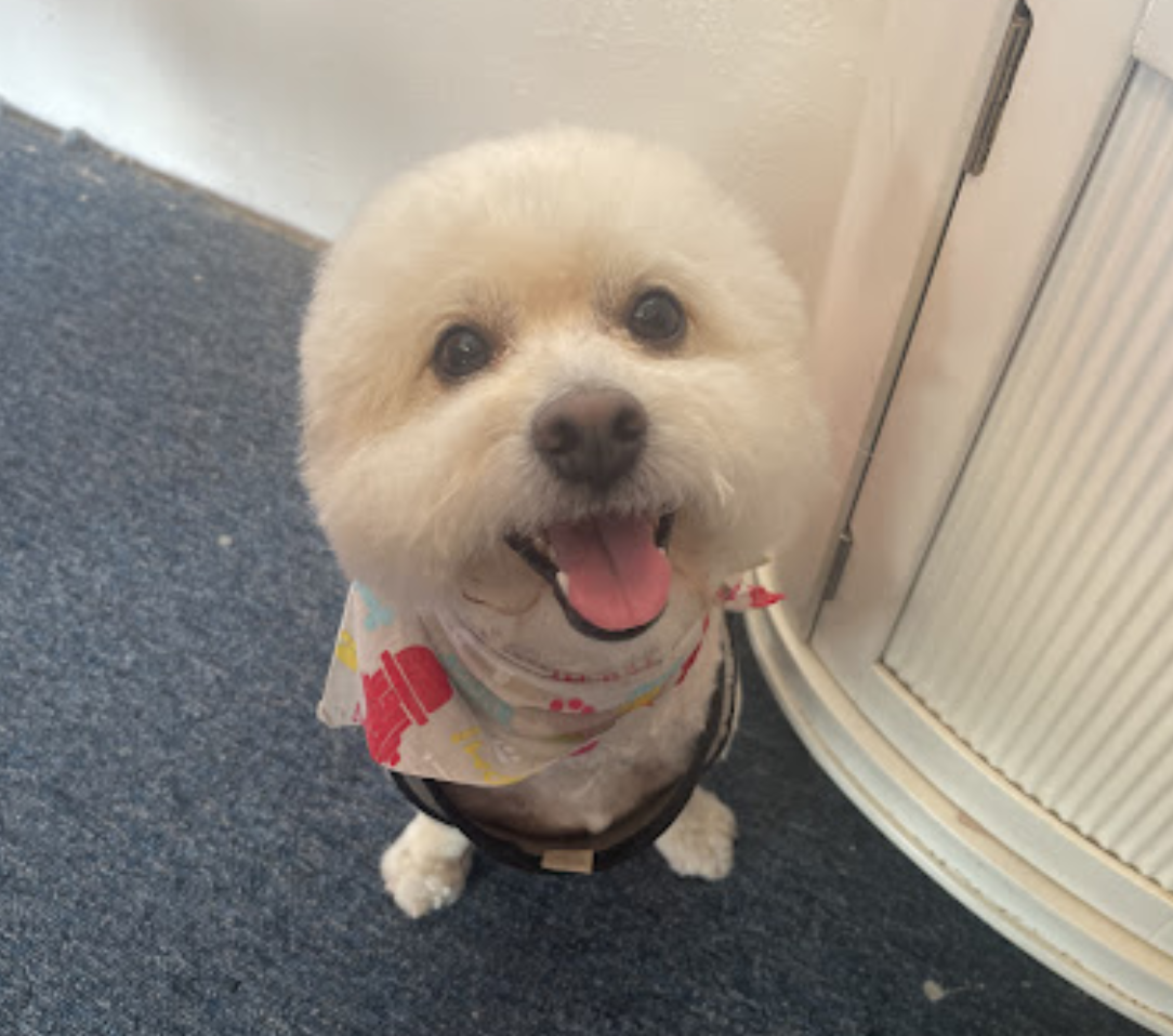 Screen Shot 2022-11-30 at 9.33.26 AM.png