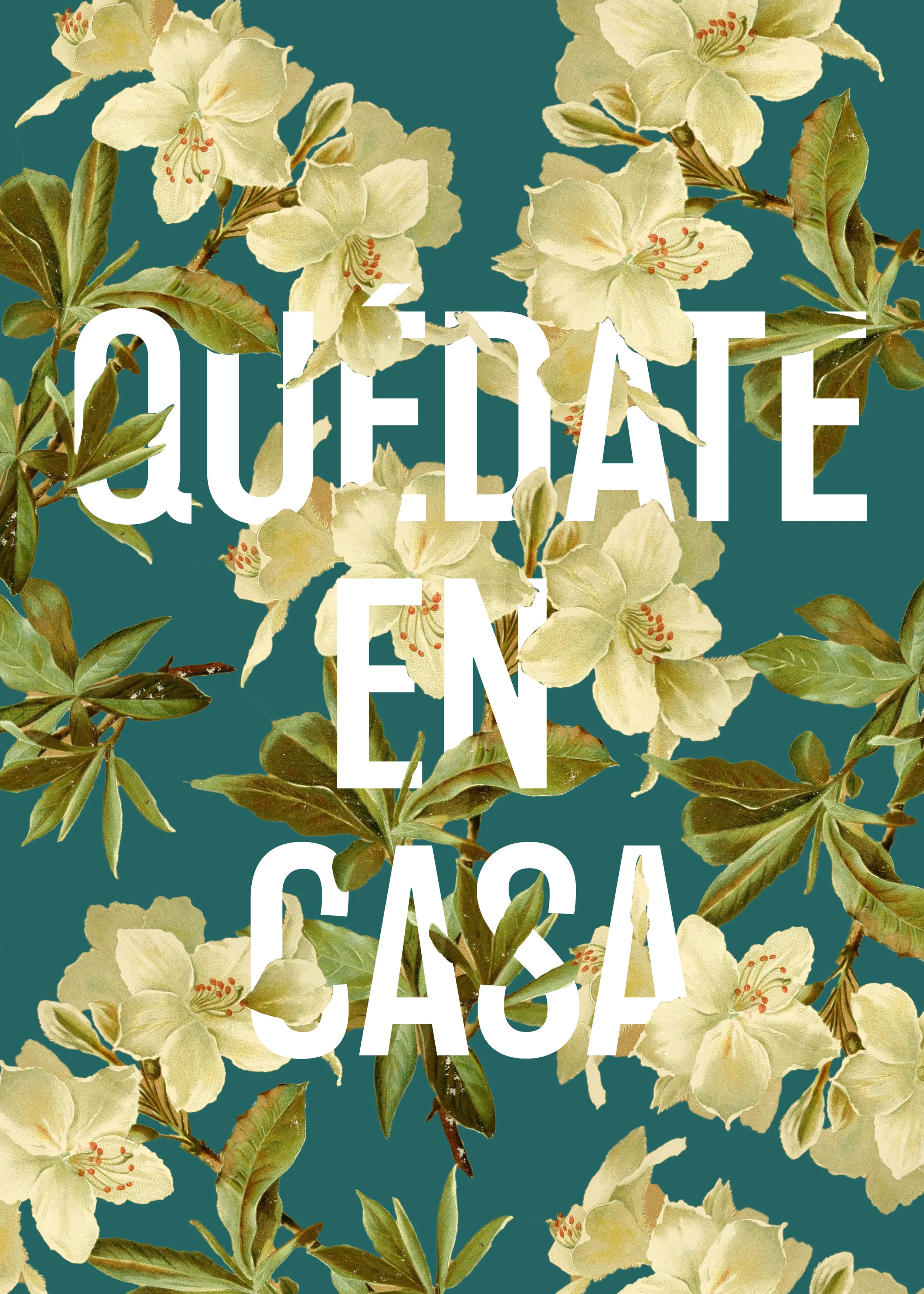 QuedateEnCasaTEAL.jpg