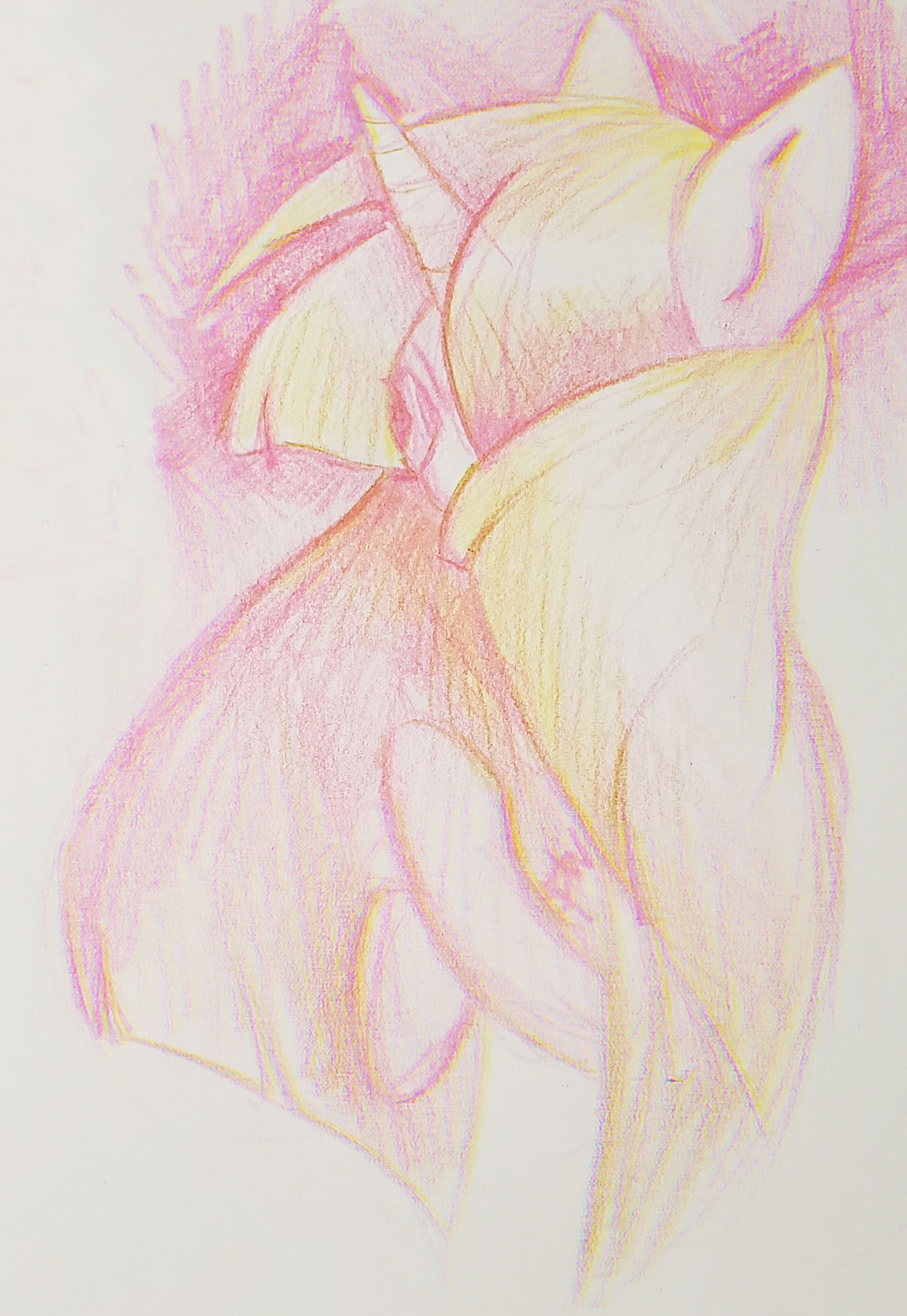 20200407_211705.png