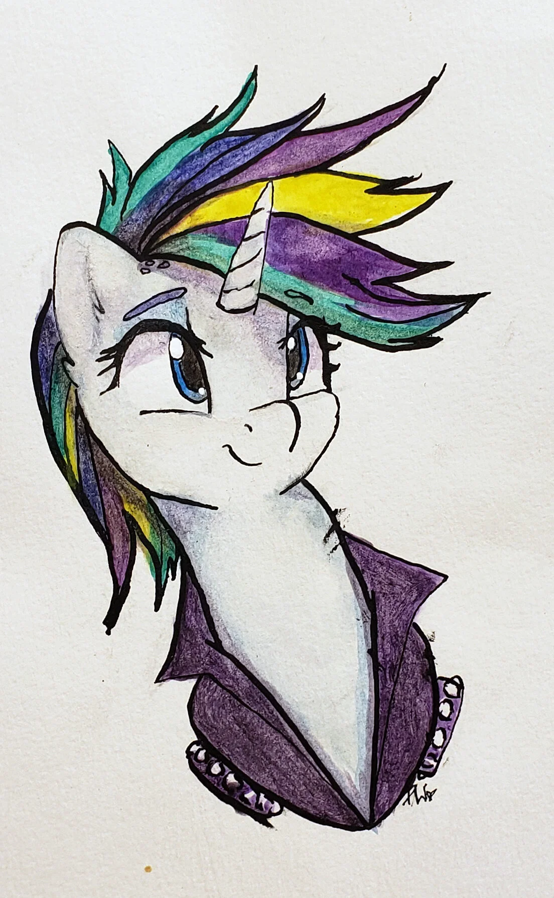 pony4.jpg
