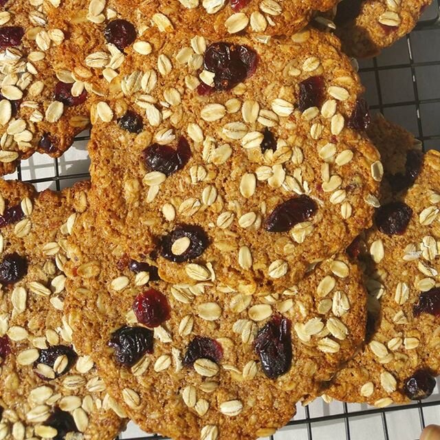 Flourless oatmeal craisins cookies, sweetened by organic honey ~ 
100% almond flour, cranberries,  gluten free oats

#Almondflour#lowcarb#health#fat#omega3#highinfiber#freshbaked#gourmetcookie#glutenfree#hearthealthy#guiltfree#nutritious#delicious#su