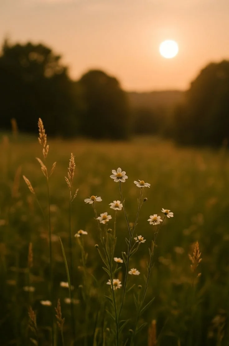 Why Rest Doesn’t Feel Restful (And What Your Nervous System Is Trying to Show You)