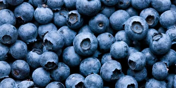 Gratitude Practice 2020 Day 9: The Blueberry