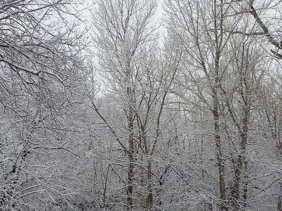 Gratitude Practice 2020 Day 15: Divinity in a Snow Storm 
