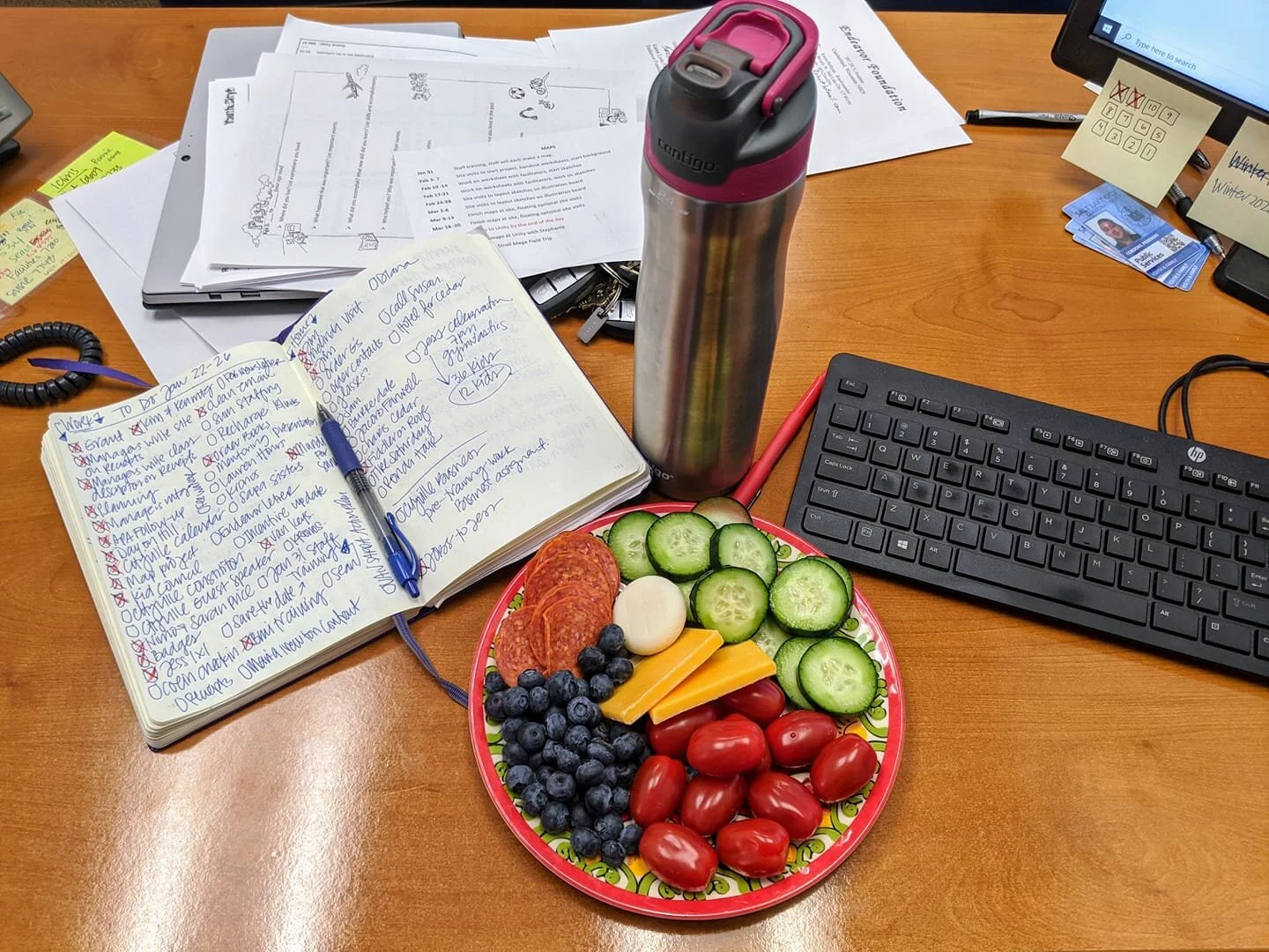 Gratitude Practice 2020 Day 20: Working Lunch