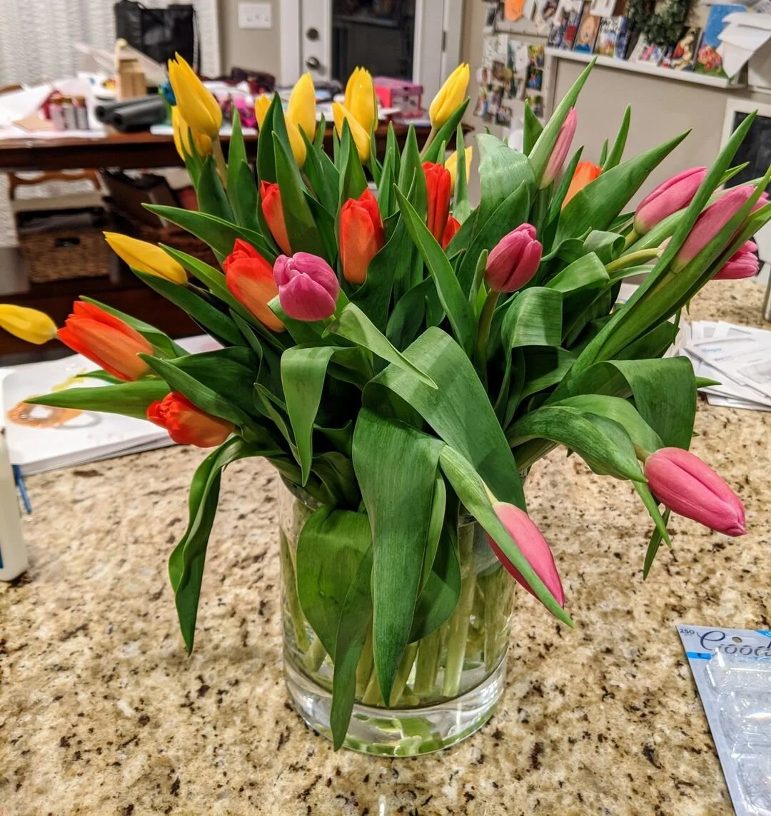 Gratitude Practice 2020 Day 36: The Power of the Unexpected 