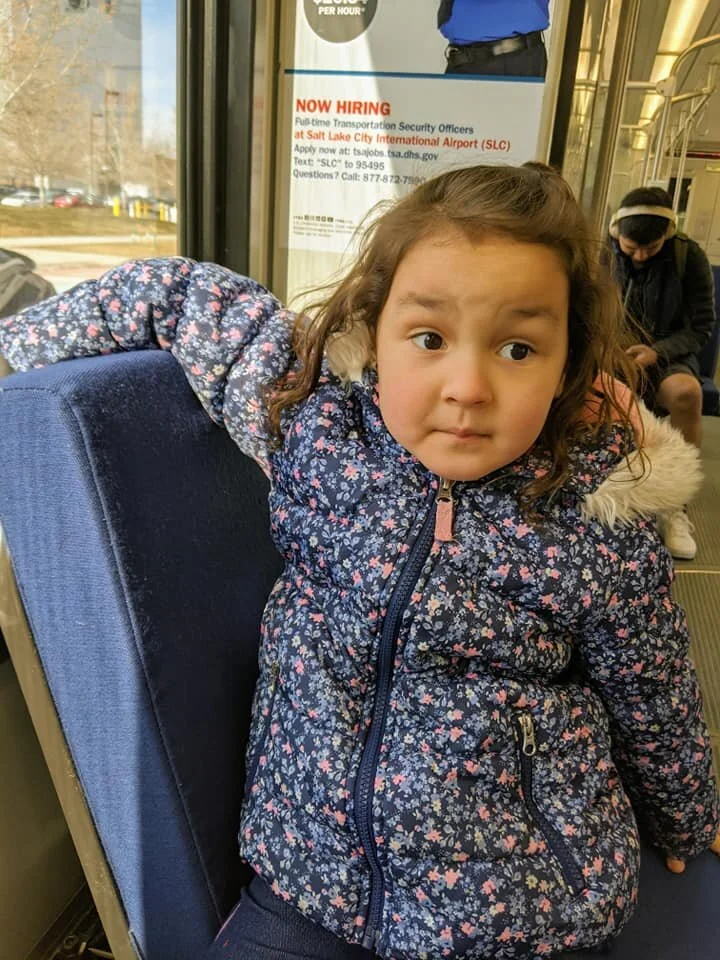 Gratitude Practice 2020 Day 42: Exploring the TRAX trains