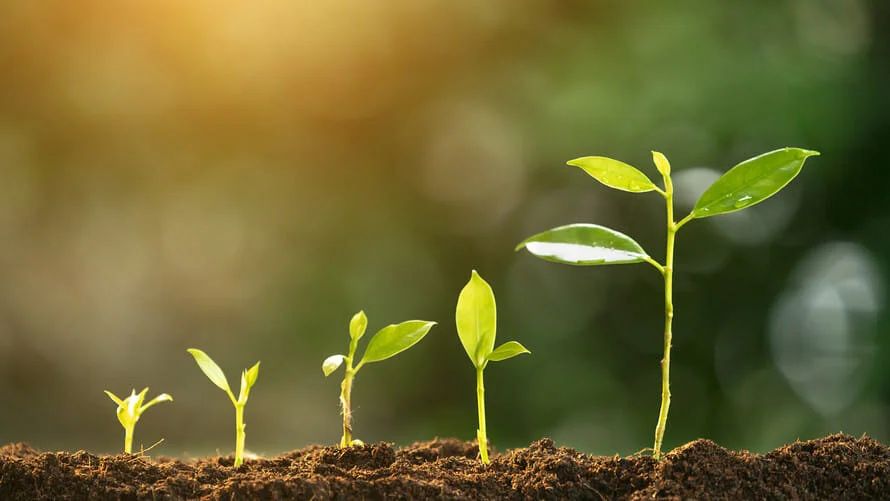 Gratitude Practice 2020 Day 45: Growth