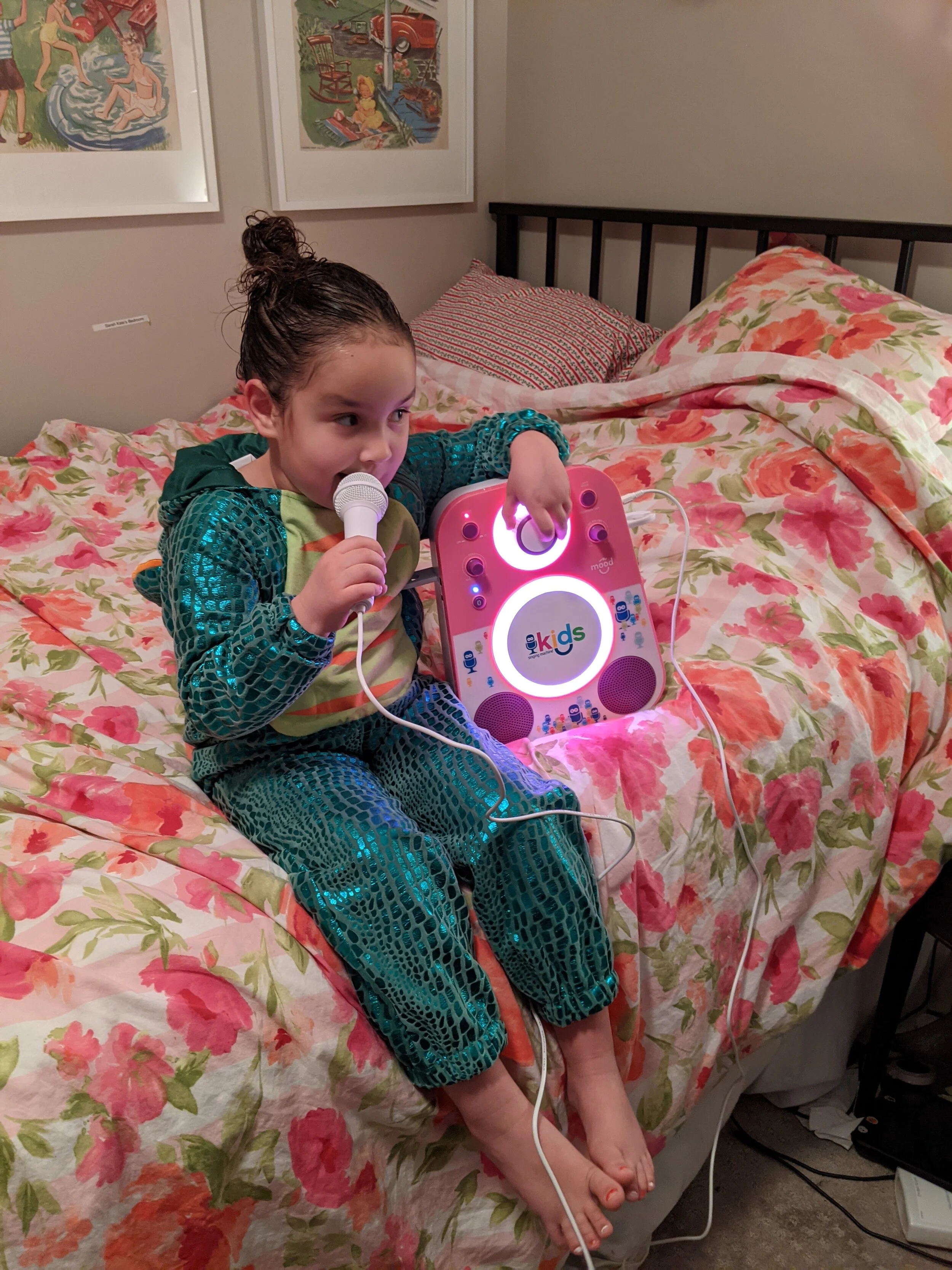 Gratitude Practice 2020 Day 323:                     A Karaoke Singing Christmas Chameleon