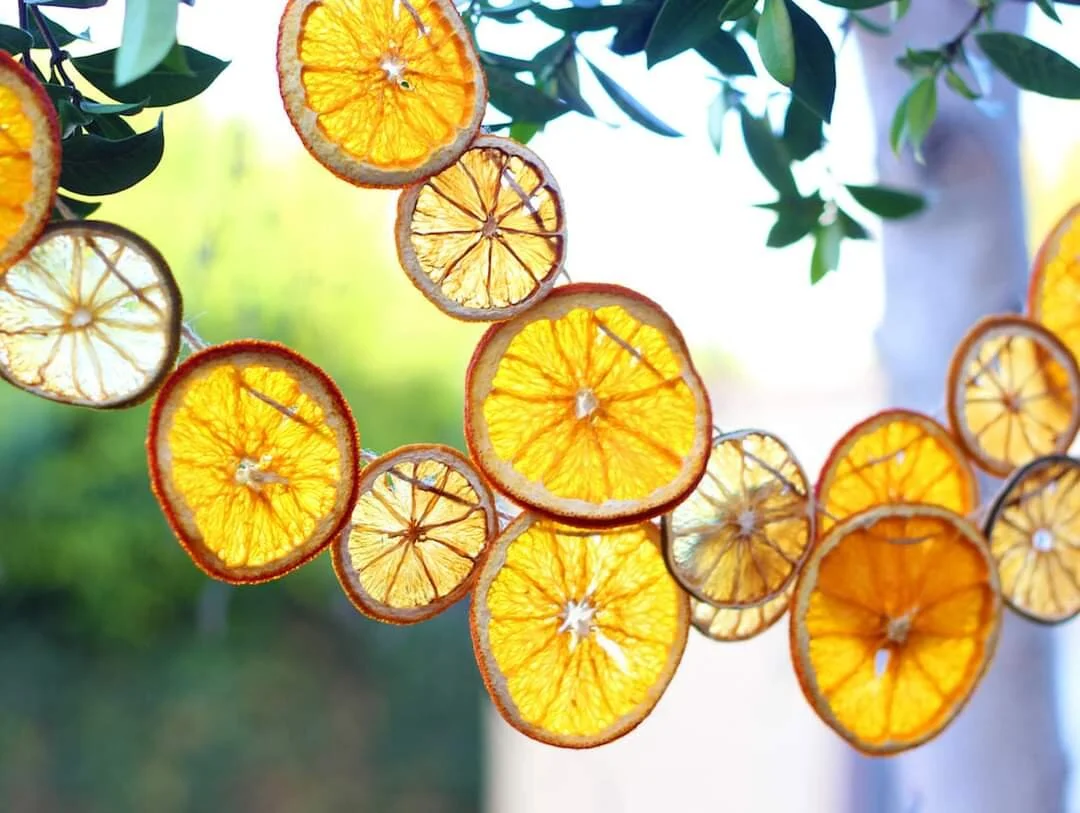 Gratitude Practice 2020 Day 315: The hope of citrus gleaming through sunshine
