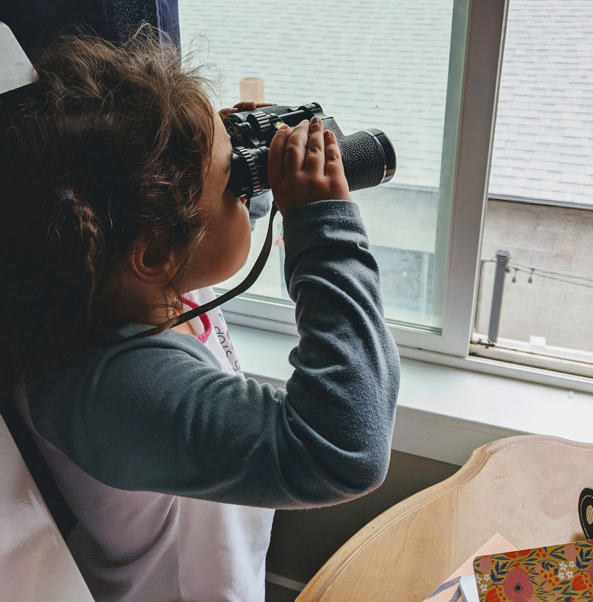 Gratitude Practice 2020 Day 278: Urban Bird Watching in Flowered Pajamas