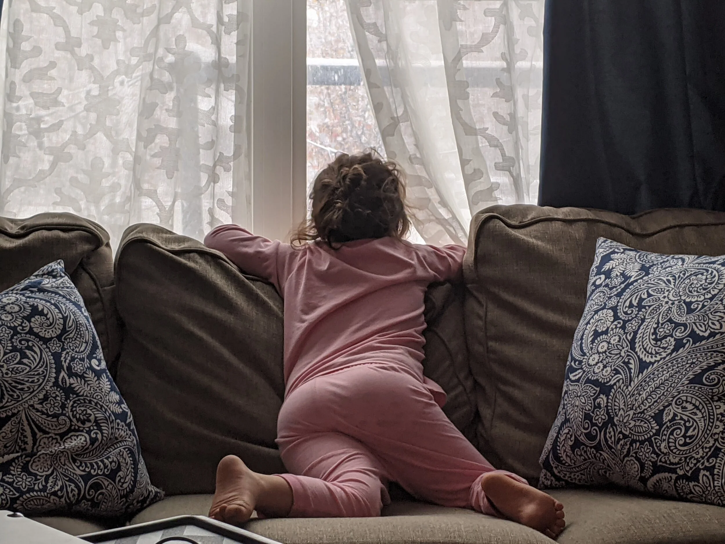Gratitude Practice 2020 Day 277: First Snow of the Season Day Dreams