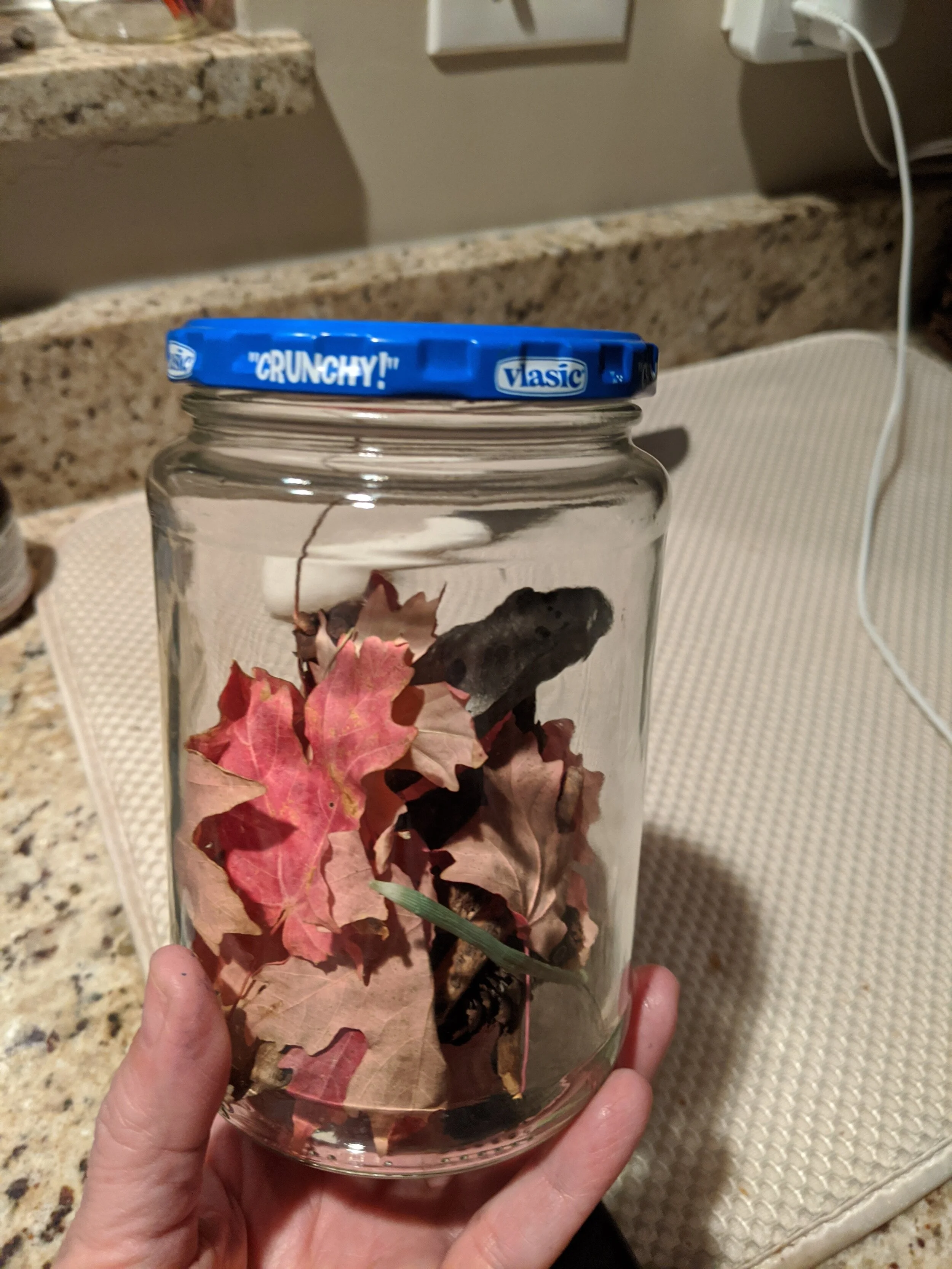 Gratitude Practice 2020 Day 211: A Jar of Fall and Autumn