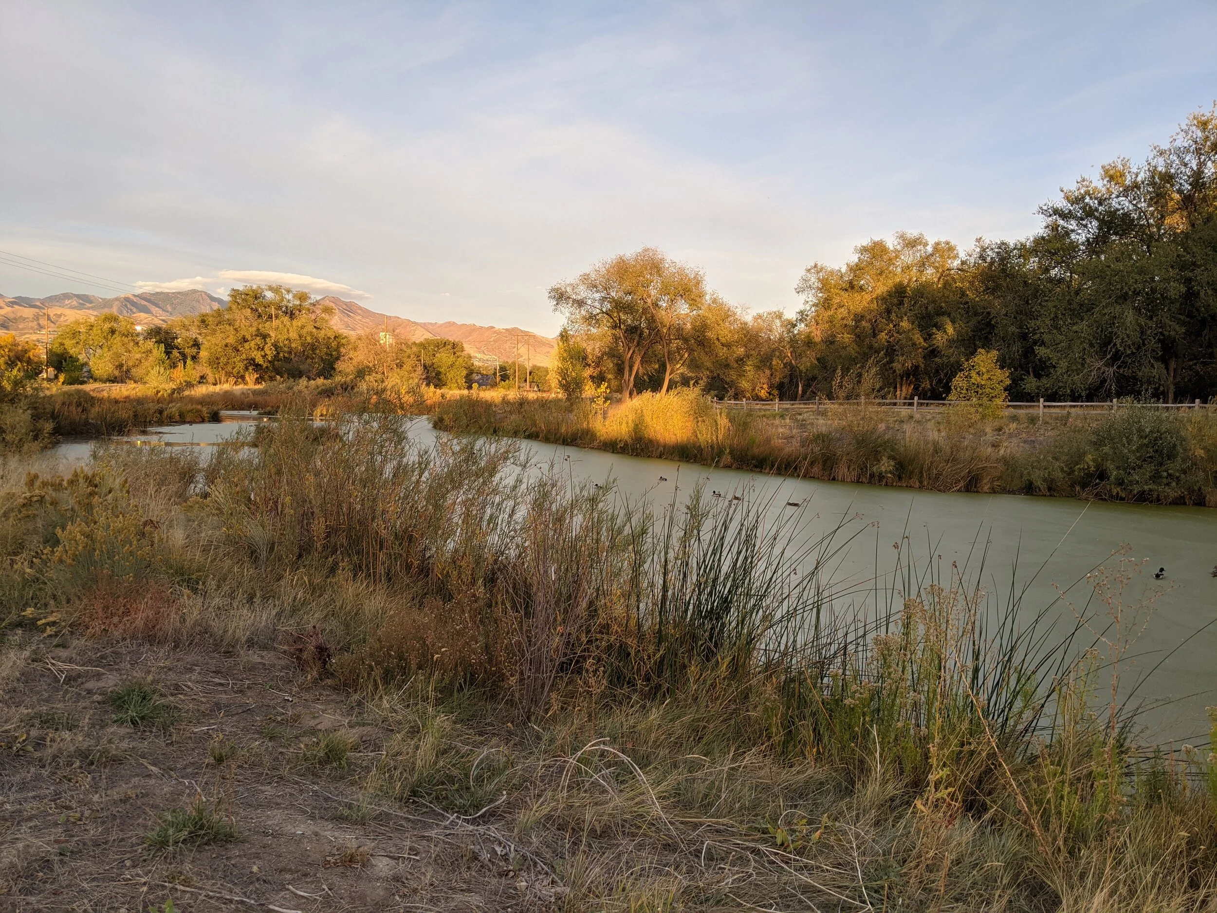 Gratitude Practice 2020 Day 267: A lazy Autumn Stroll Along the Jordan River with SK