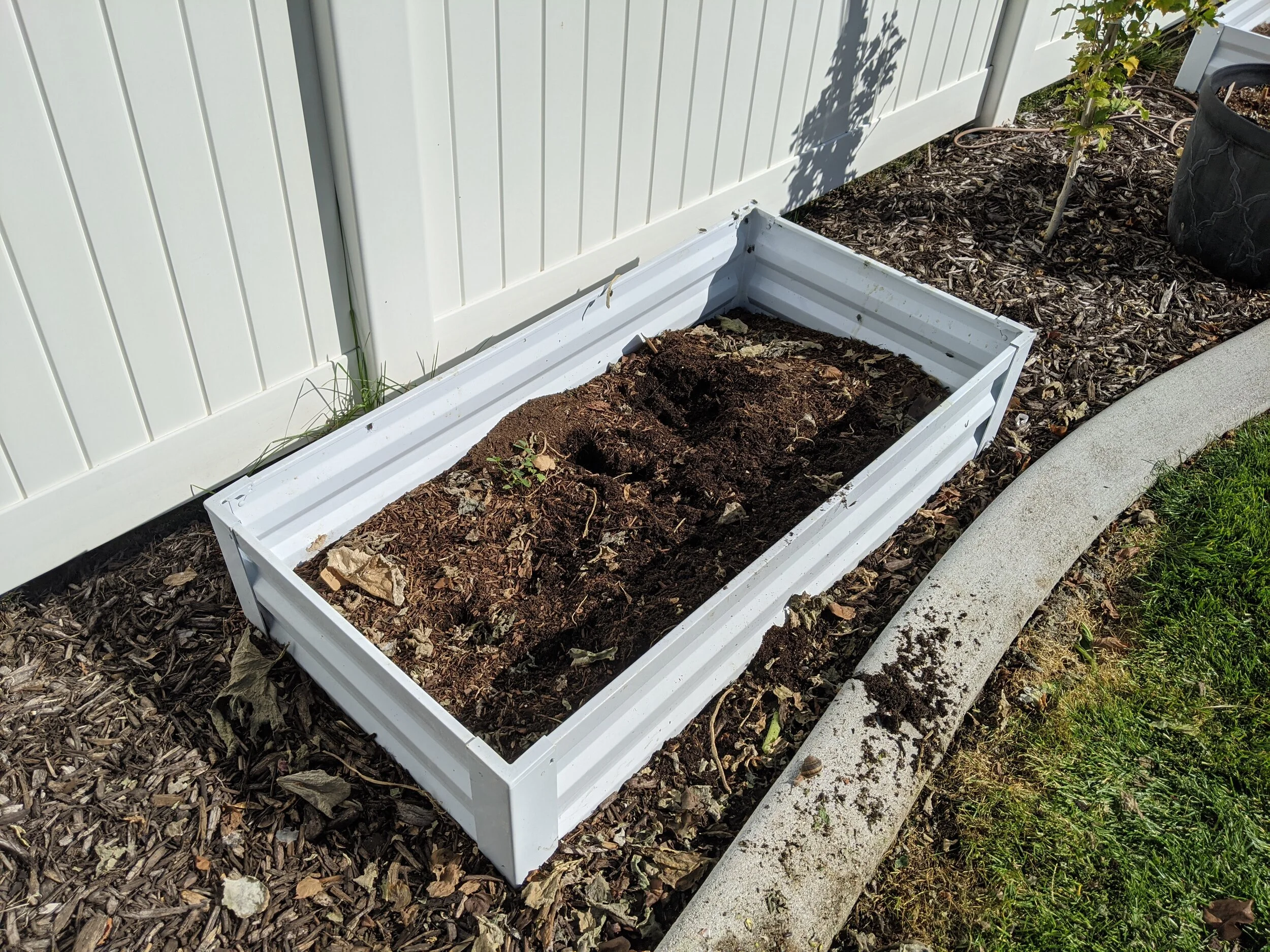 Gratitude Practice 2020 Day 239: Good Night Bountiful Garden
