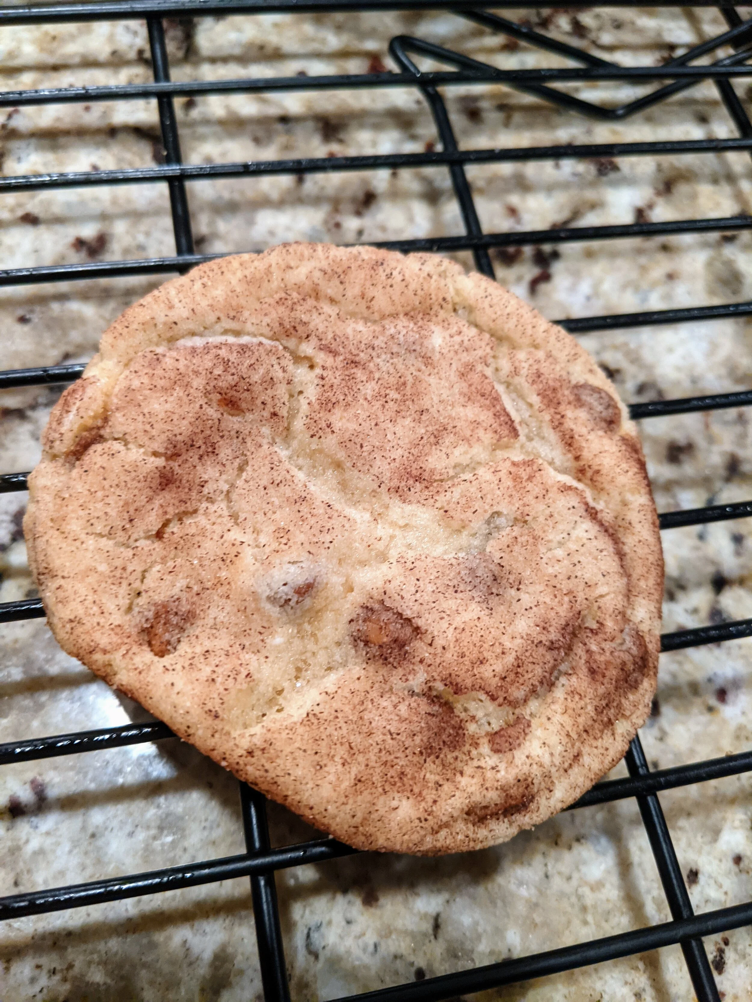 Gratitude Practice 2020 Day 327: The Super Snickerdoodle
