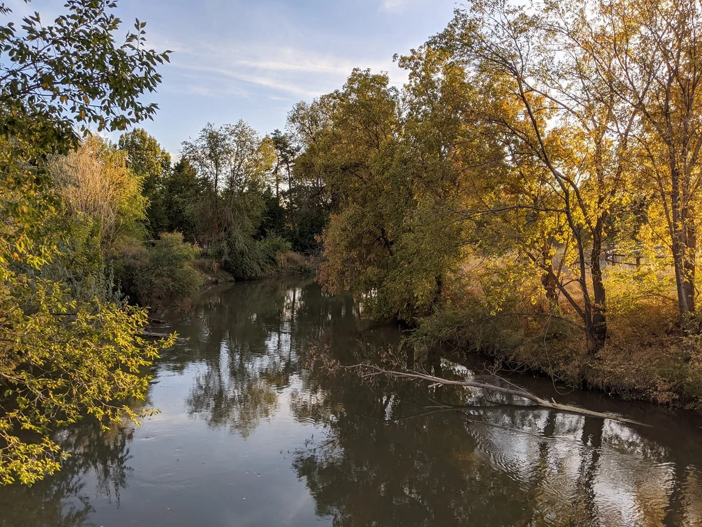 Gratitude Practice 2020 Day 285: Lazy November Strolls Along the Jordan River Parkway