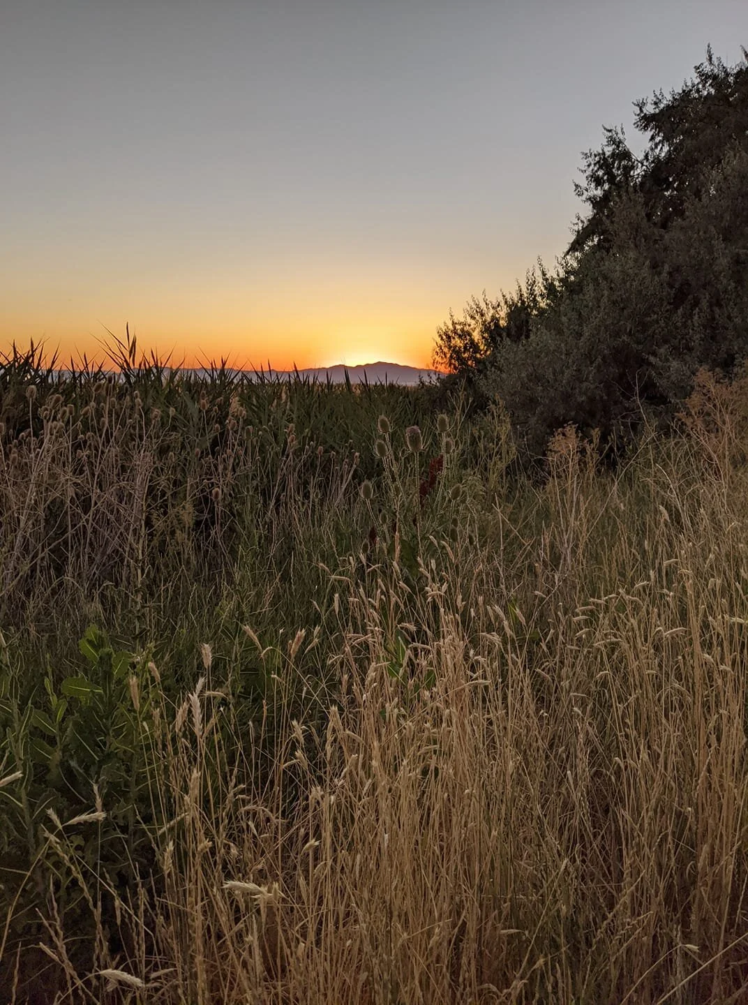 Gratitude Practice 2020 Day 275: Sunsets