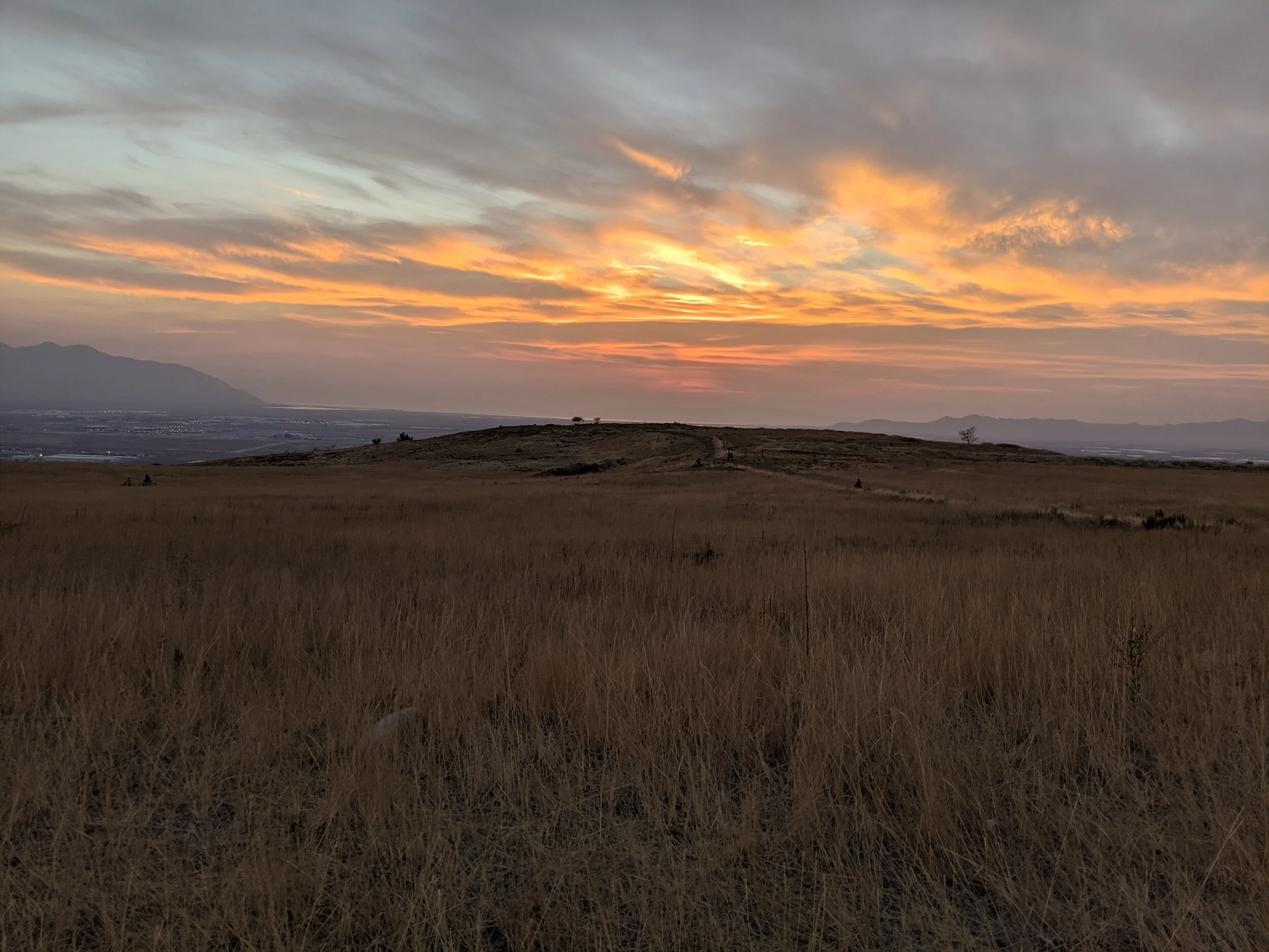 Gratitude Practice 2020 Day 243: Diana and Sunset Park