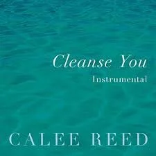 Gratitude Practice 2020 Day 238: “Cleanse You” by Calee Reed