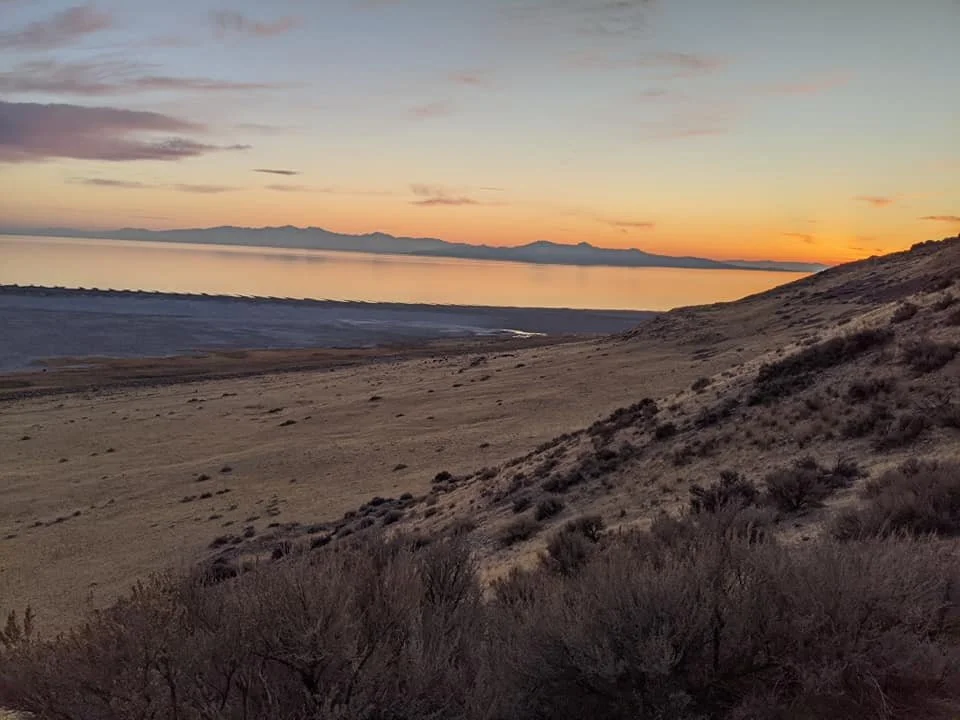 Gratitude Practice 2020 Day 292: These words and this heart restoring place
