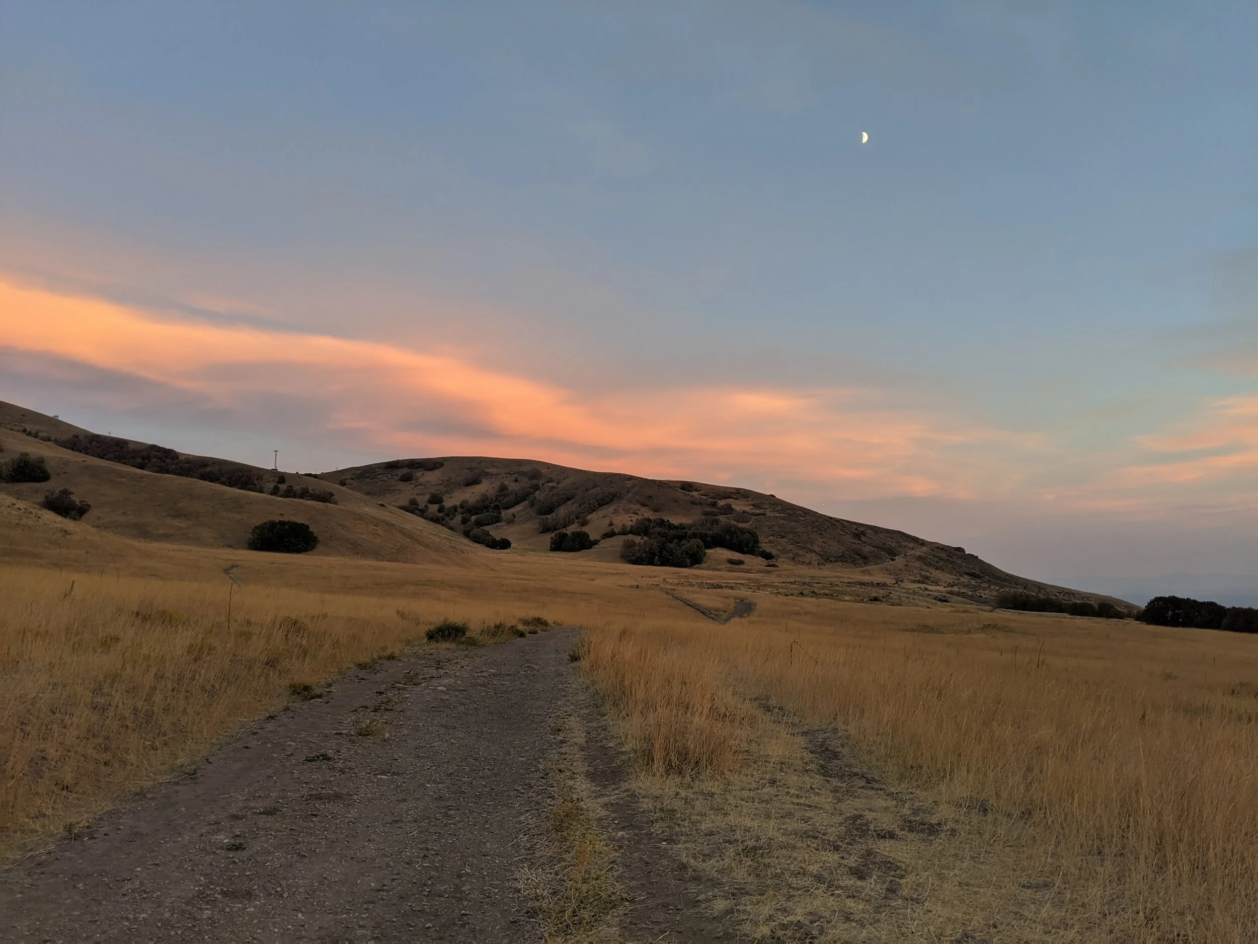 Gratitude Practice 2020 Day 209: Long Walks with Trusted Friends