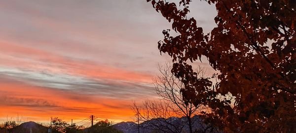 Gratitude Practice 2021 Nov 3: Today's Morning Sunrise