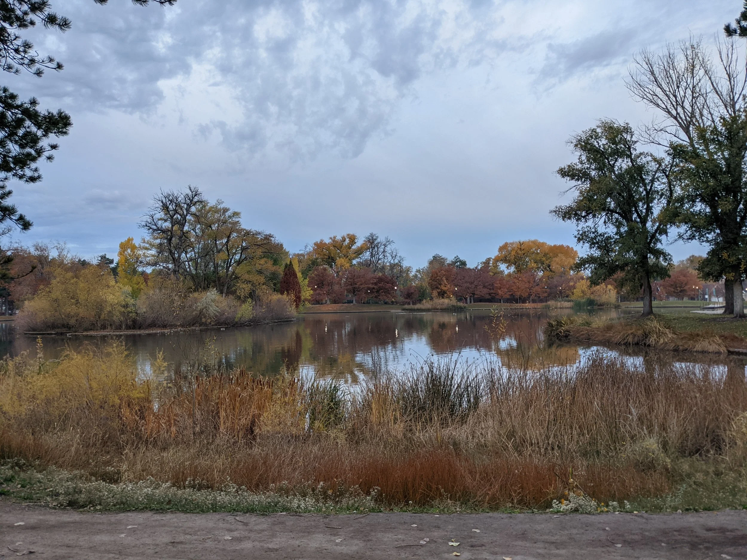 PXL_20211101_141134740.jpg