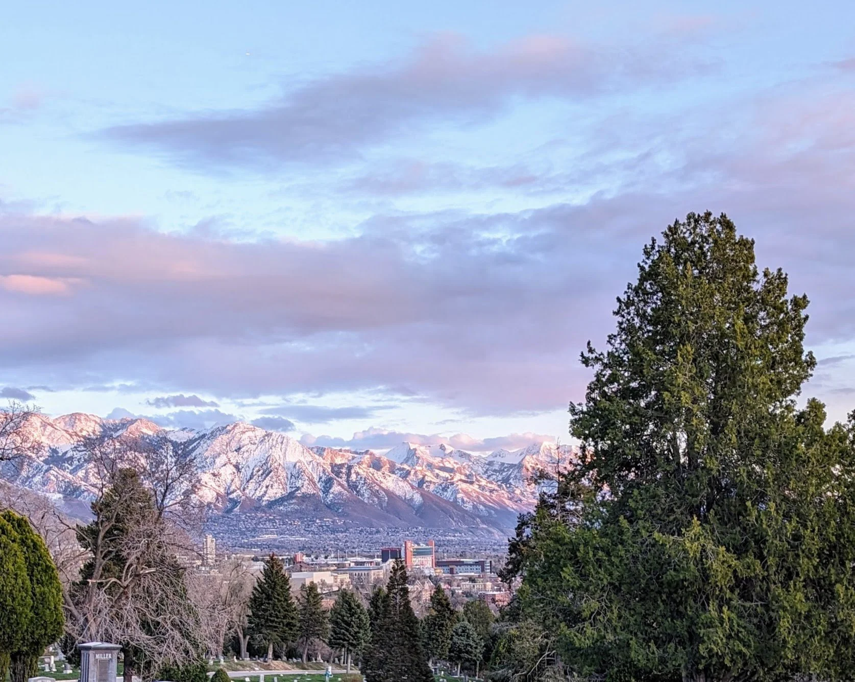 Gratitude Practice 2024 April 8: The Golden House of Spring in Salt Lake City. 