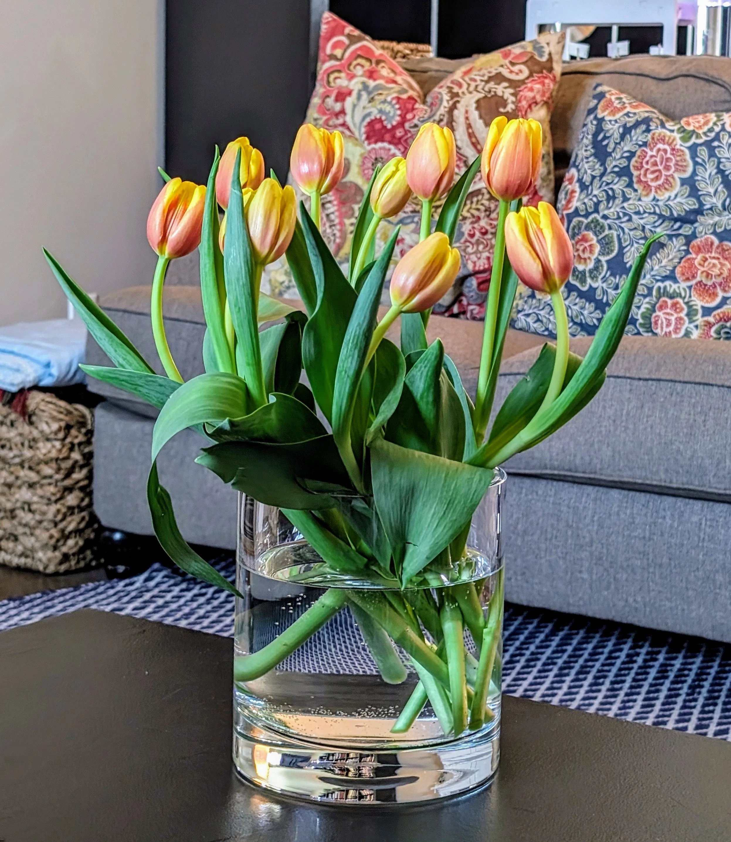 Gratitude Practice 2024 March 17: Tulips