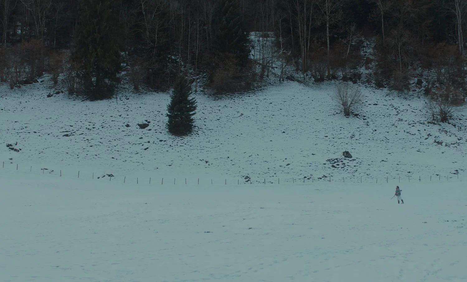 WN-STILL018.jpg