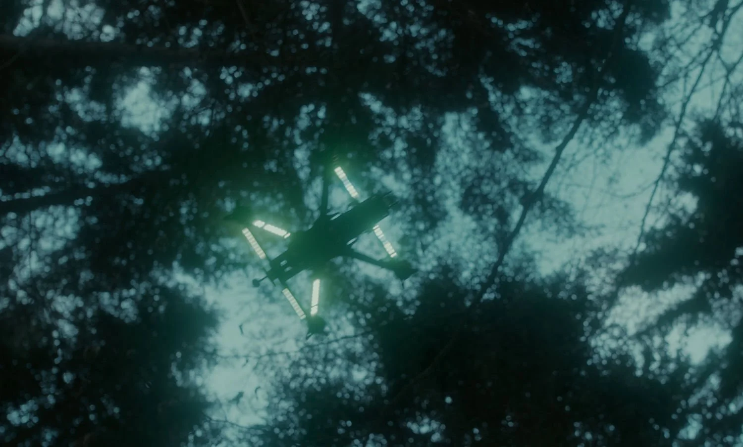 WN-STILL017.jpg