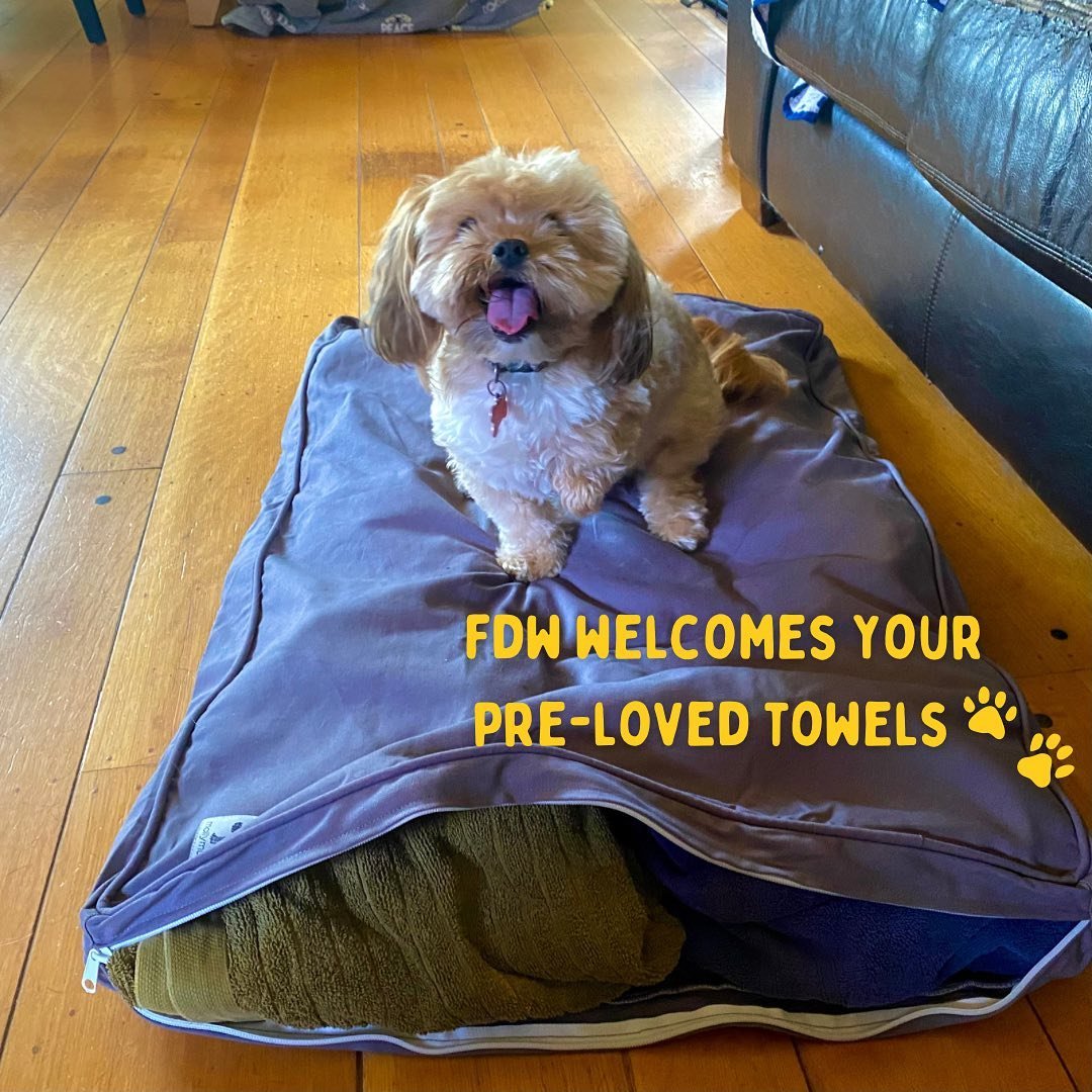 Help us provide comfy spots for pups with your pre-loved towel donations 🐶💕 With washable covers, every towel counts!