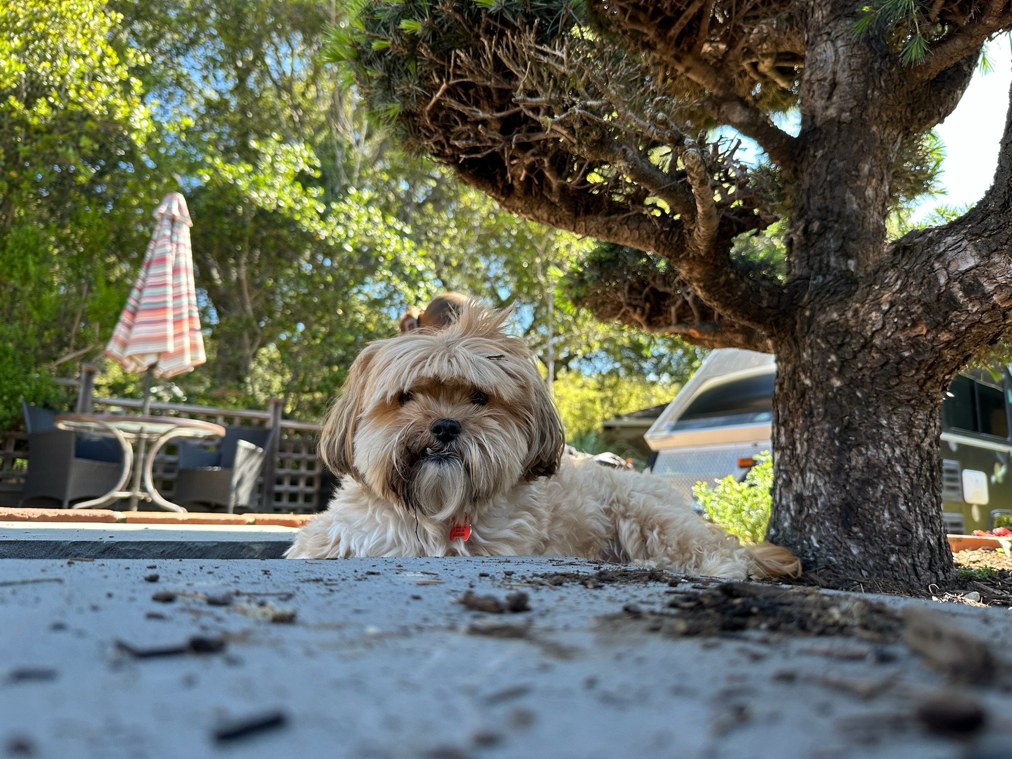 IMG_0823.jpeg