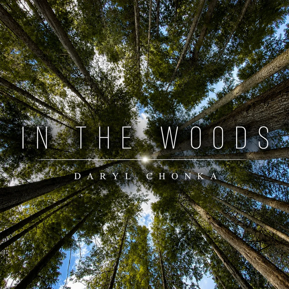In the Woods single artwork