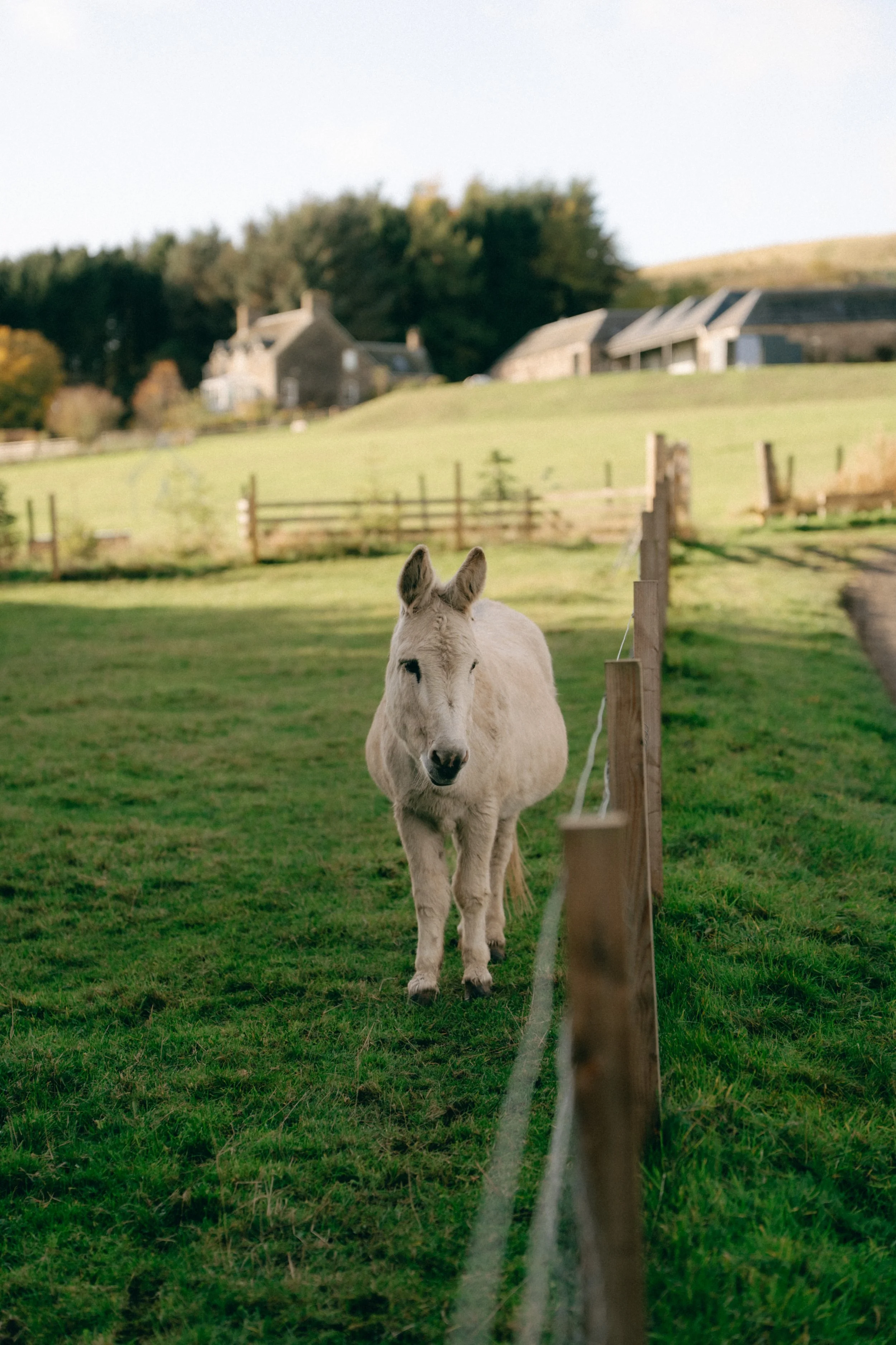 Guardswell Farm Wedding Digital and Film Photography 16.jpg