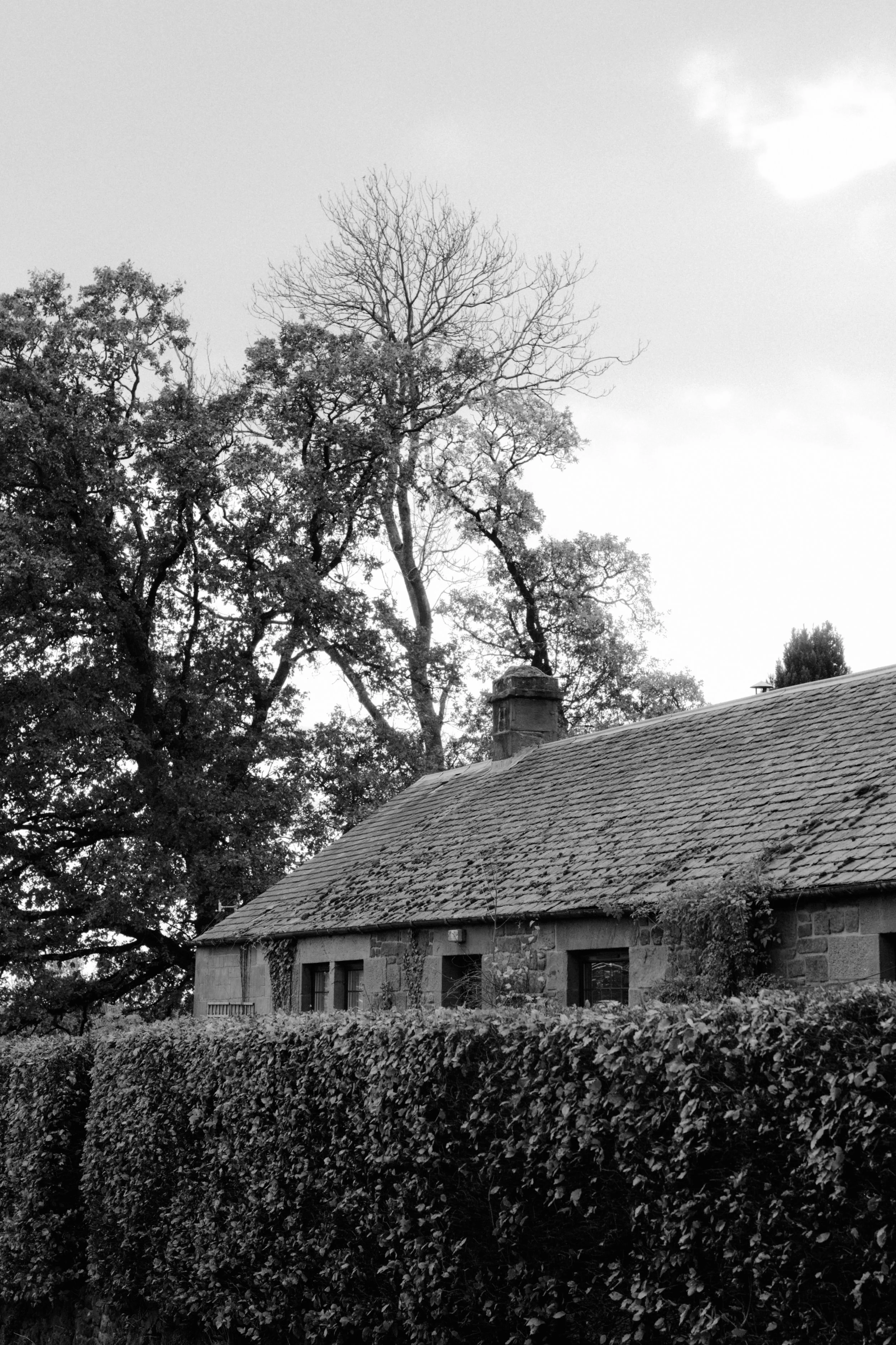 Guardswell Farm Wedding Digital and Film Photography 17.jpg