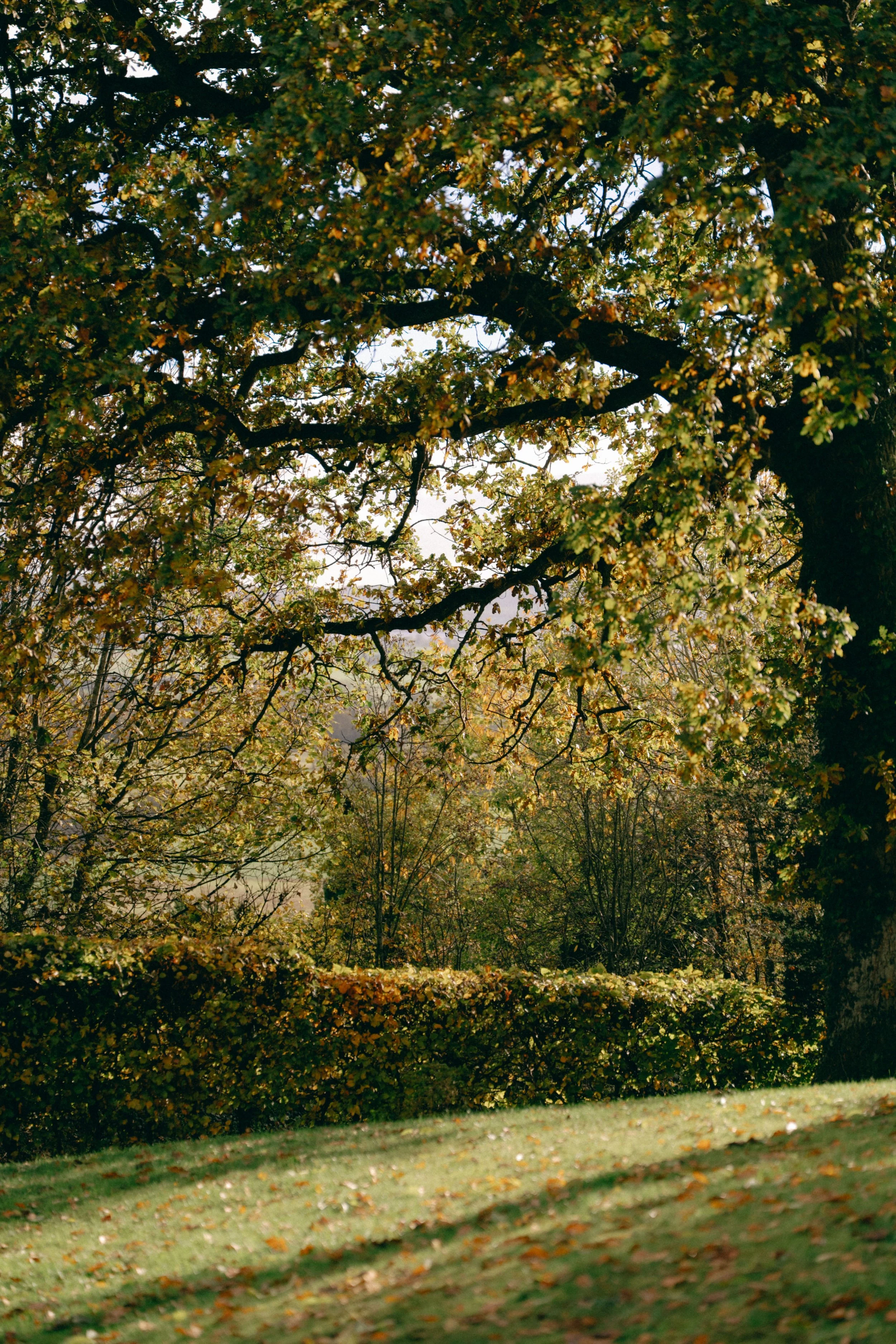 Guardswell Farm Wedding Digital and Film Photography 22.jpg