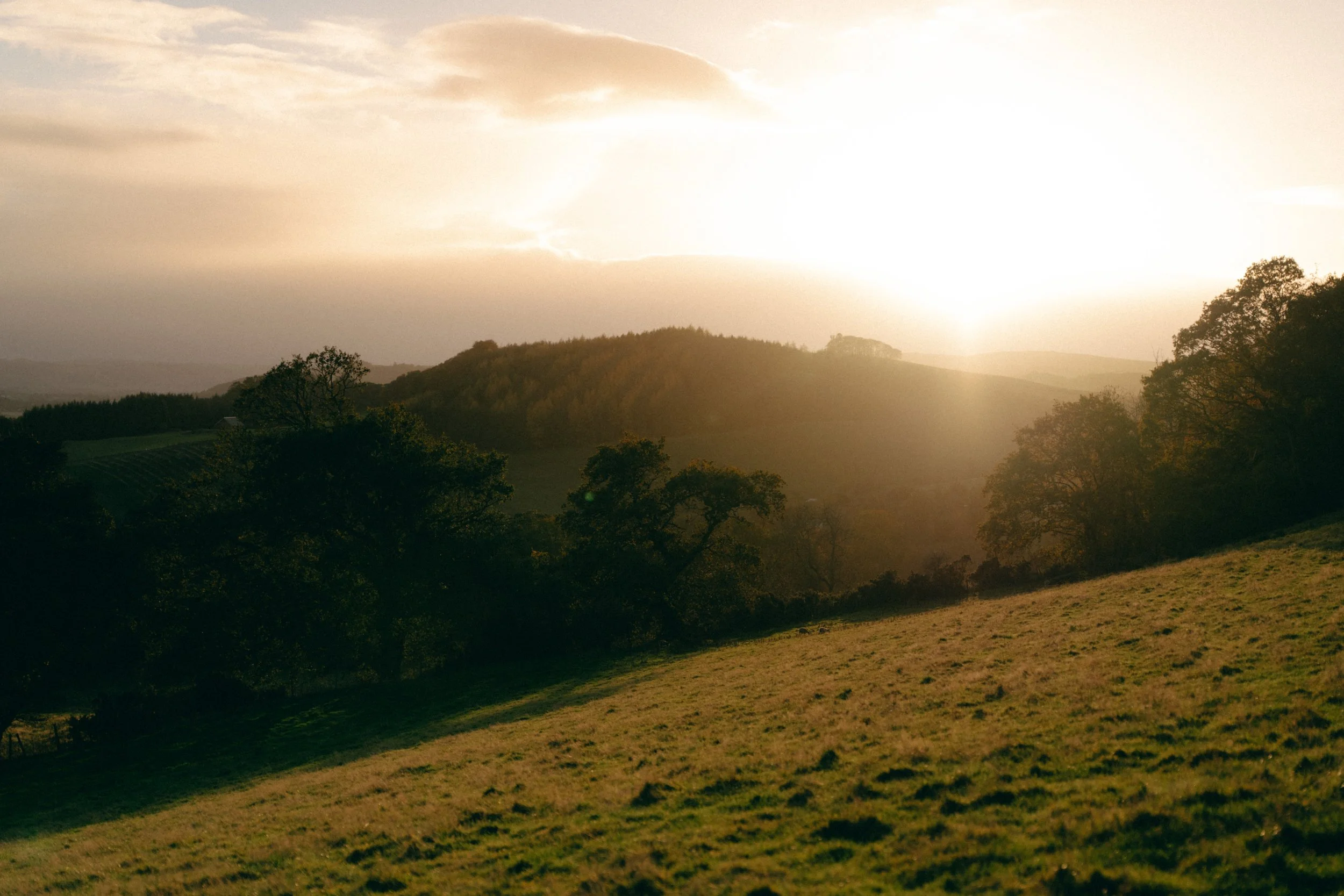 Guardswell Farm Wedding Digital and Film Photography 72.jpg