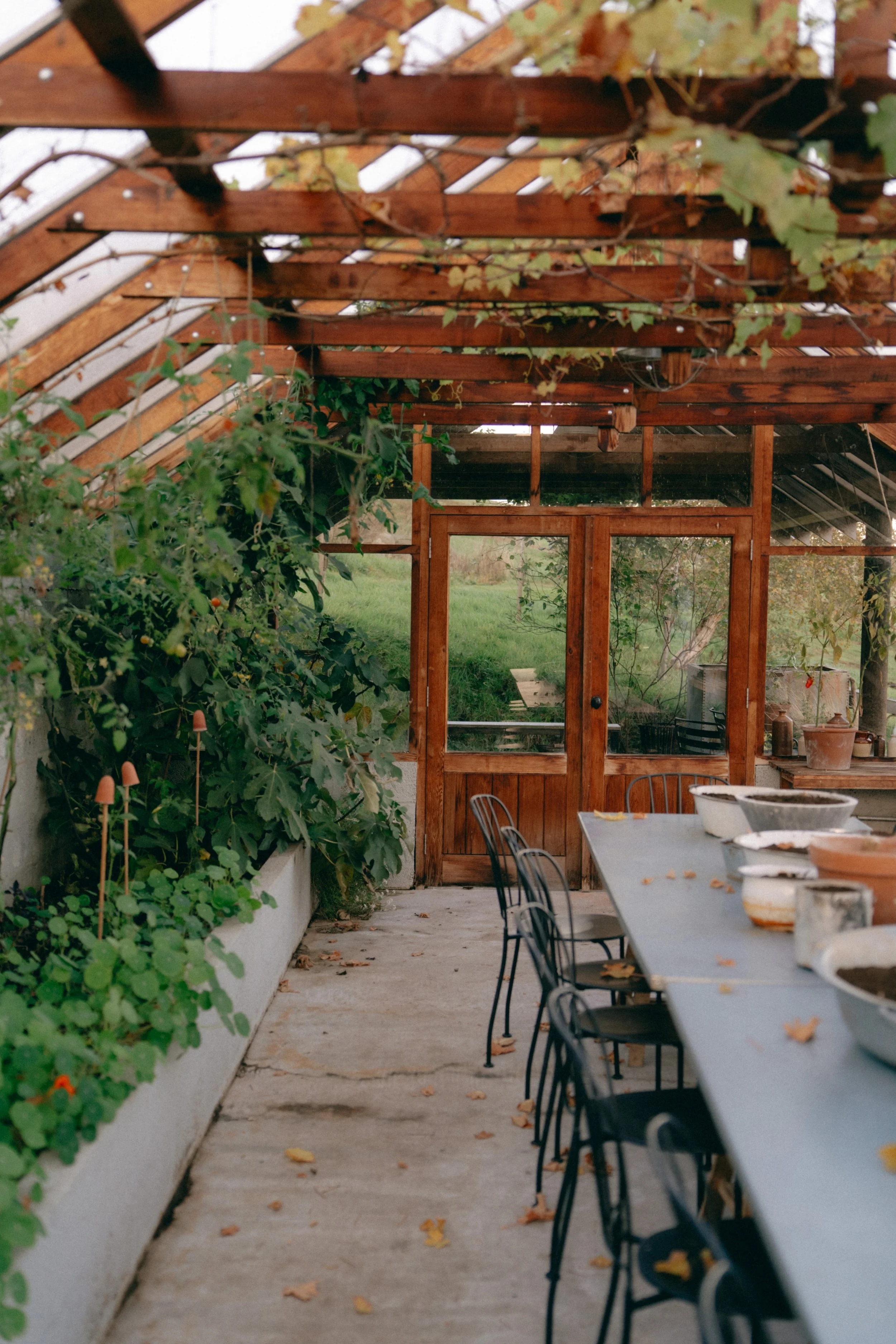 Guardswell Farm Wedding Digital and Film Photography 85.jpg