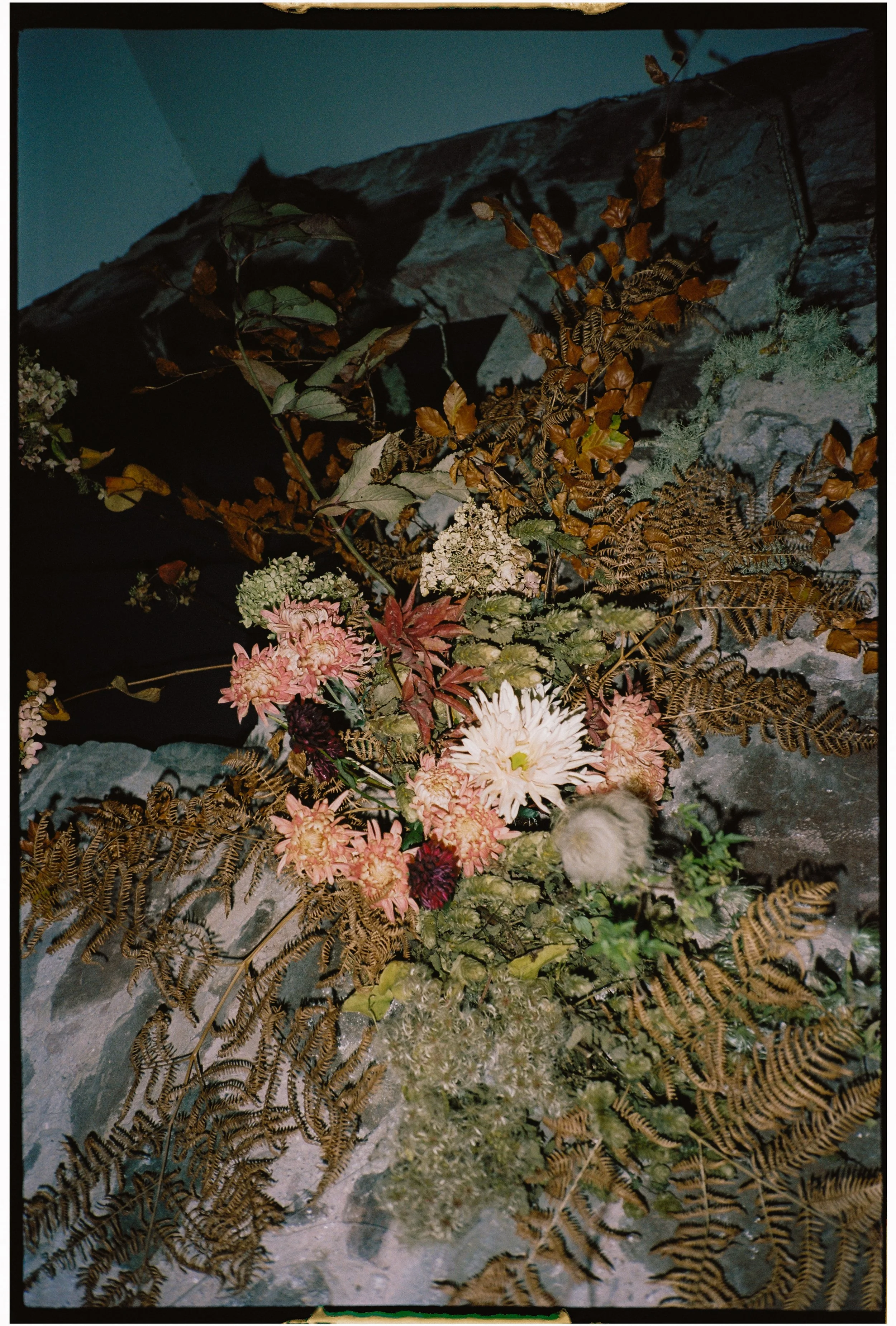 Guardswell Farm Wedding Digital and Film Photography 113.jpg