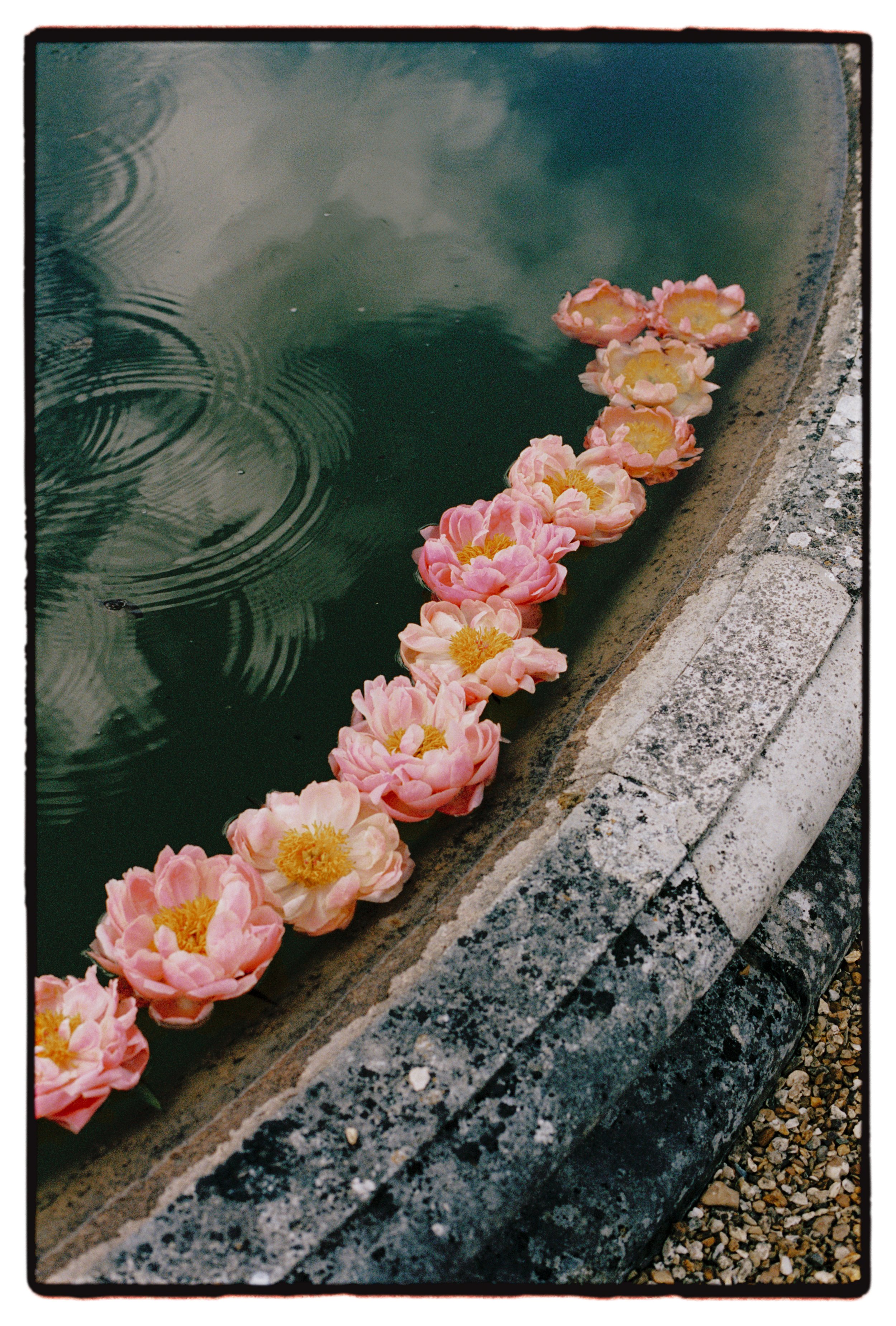 Somerley House Wedding Photography on Film 35.jpg