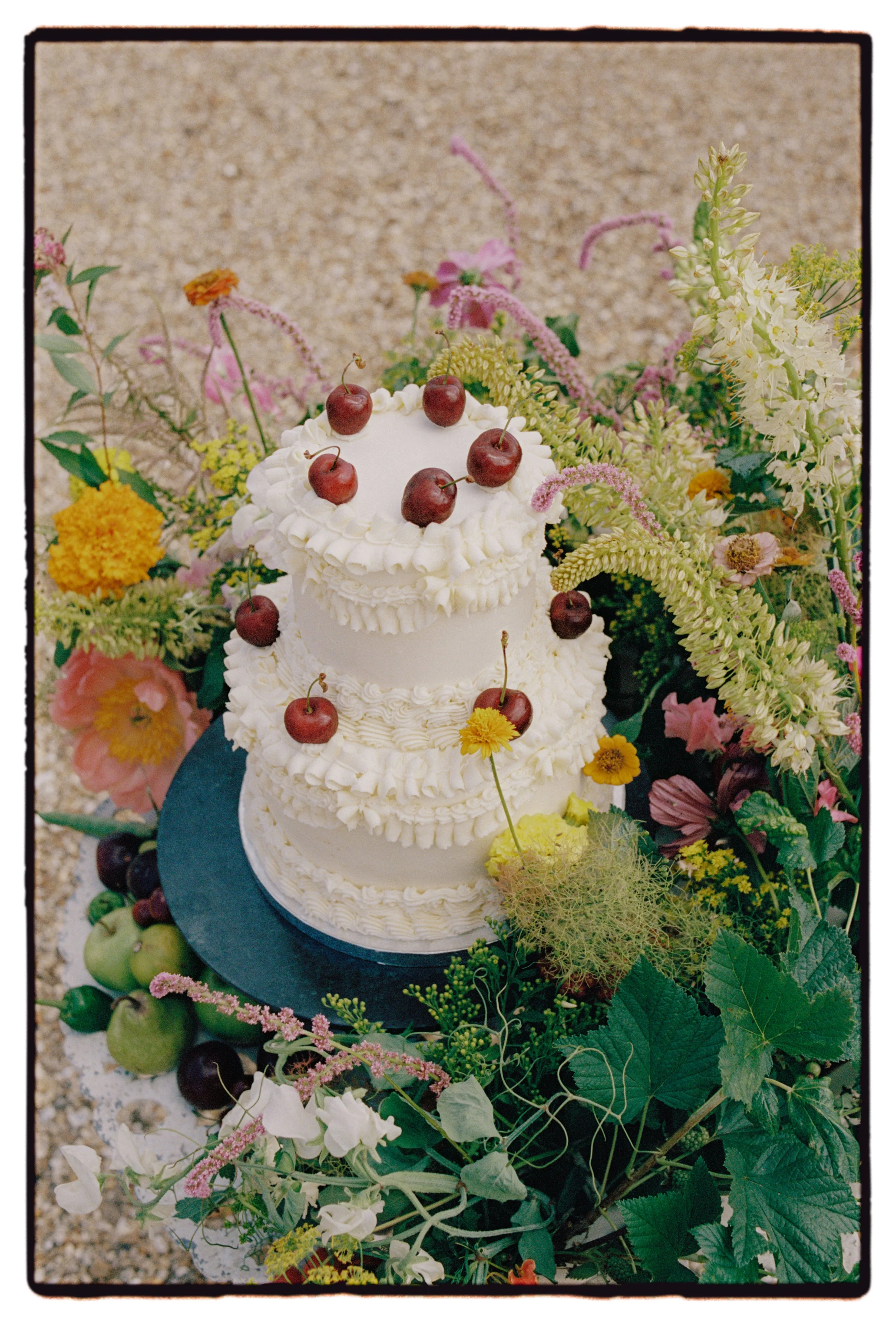 Somerley House Wedding Photography on Film 37.jpg