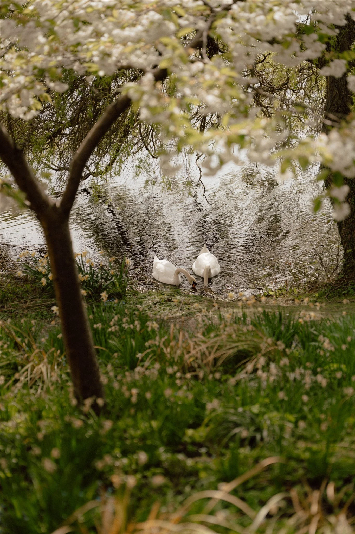 Dr Neils Garden Wedding Reception 5.jpg