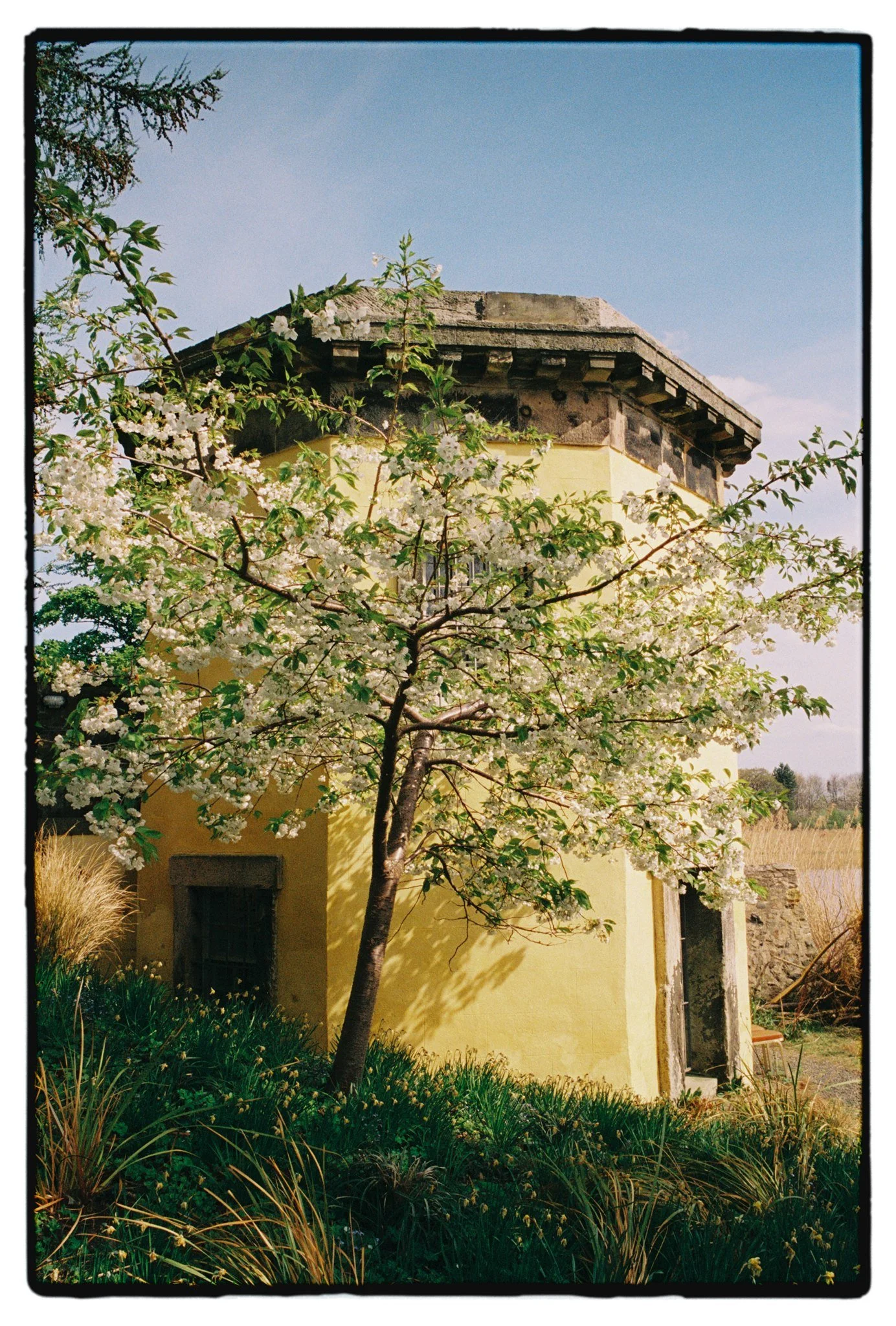 Dr Neils Garden Wedding Reception 18.jpg