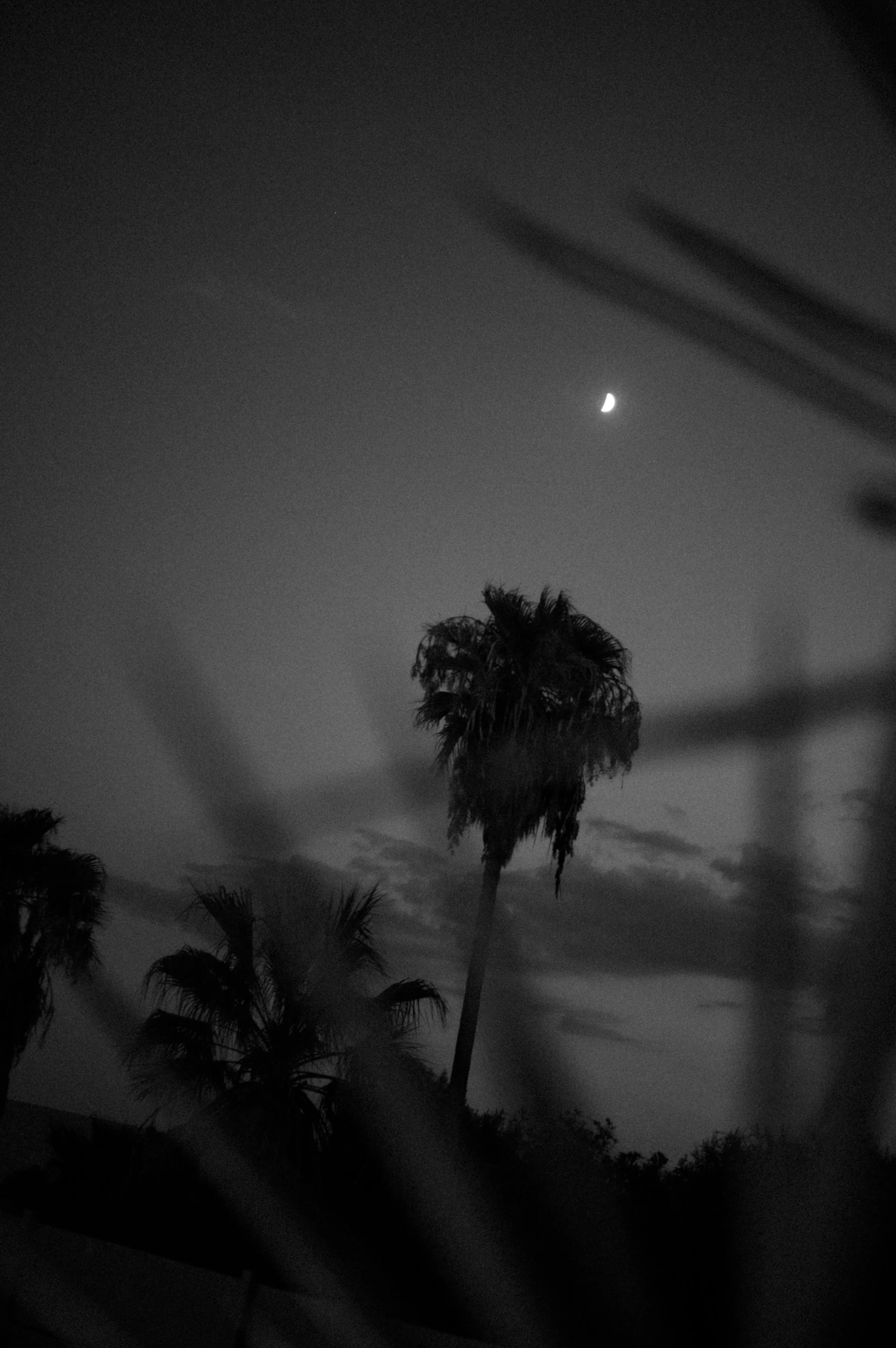 Commenda di San Calogero Sicily Wedding Photography on Digital & Film 58.jpg